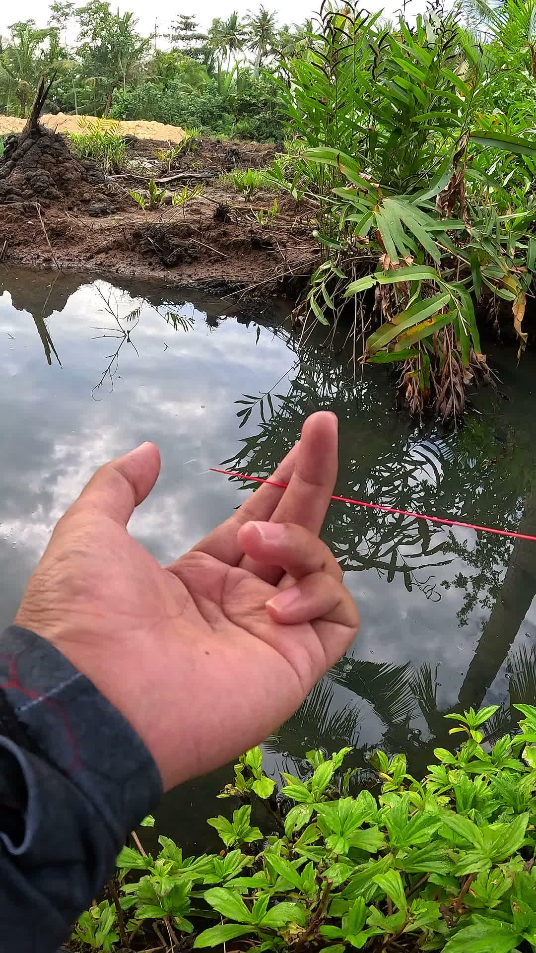 traditional way #fishing #traditional #usa #usareels #UnitedStates #unitedkingdom #denmark #canada