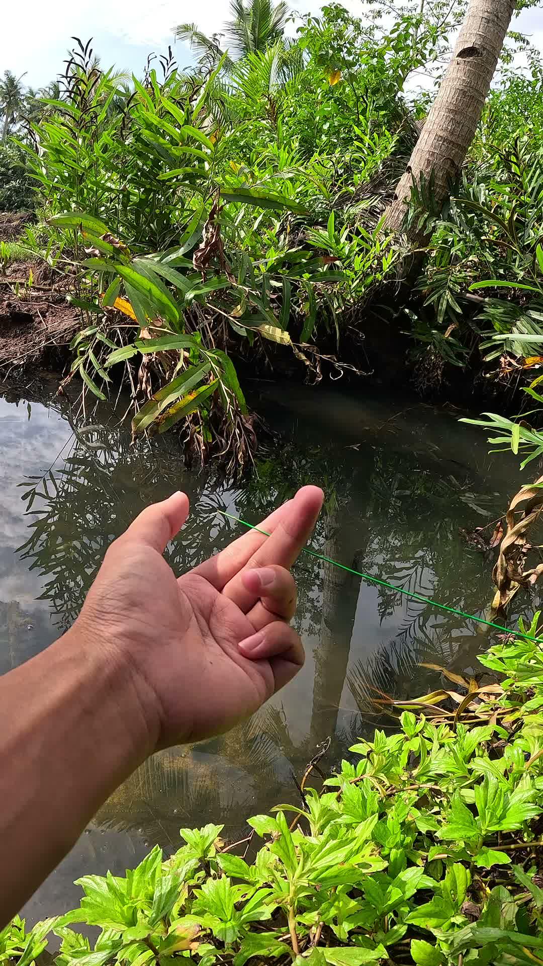 nemu tempat persembunyian udang