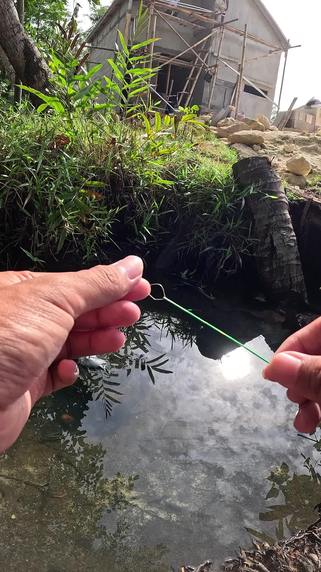 teknik jitu mancing udang #mancing #fishing #shrimp #udang #nelayan #laut #jaring #ikan #reelsviral #animals #skill #fyp #trending