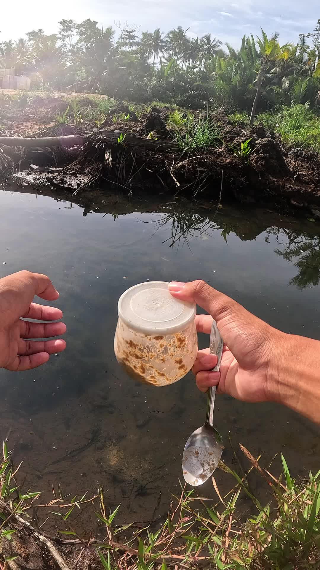 how to catch shrimp super fast and easy #fishing #traditional #usa #usareels #UnitedStates #unitedkingdom #denmark #canada