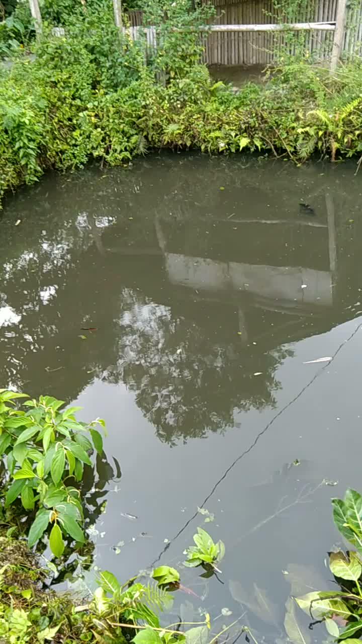 kolam lele  #HOTrctiplus 