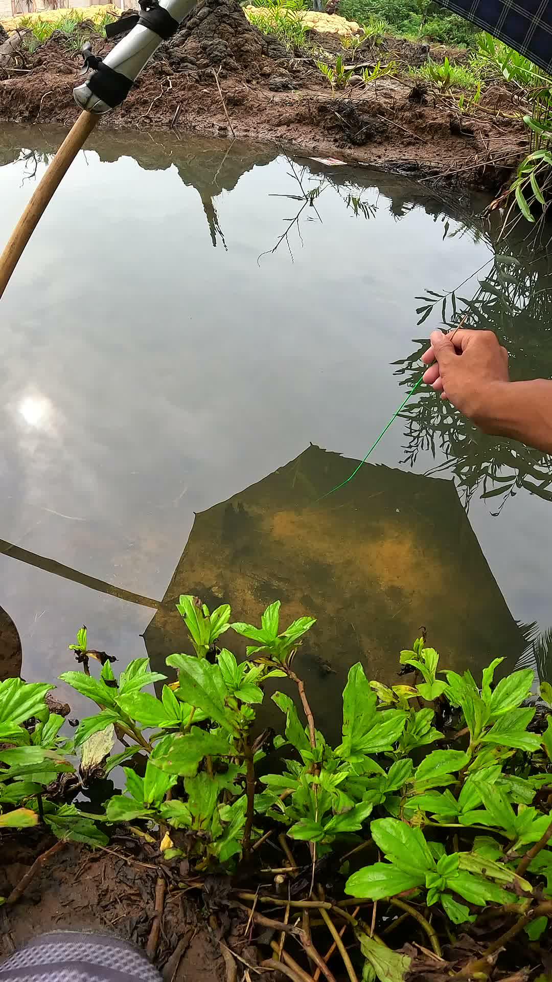 mancing udang tradisional 🦐