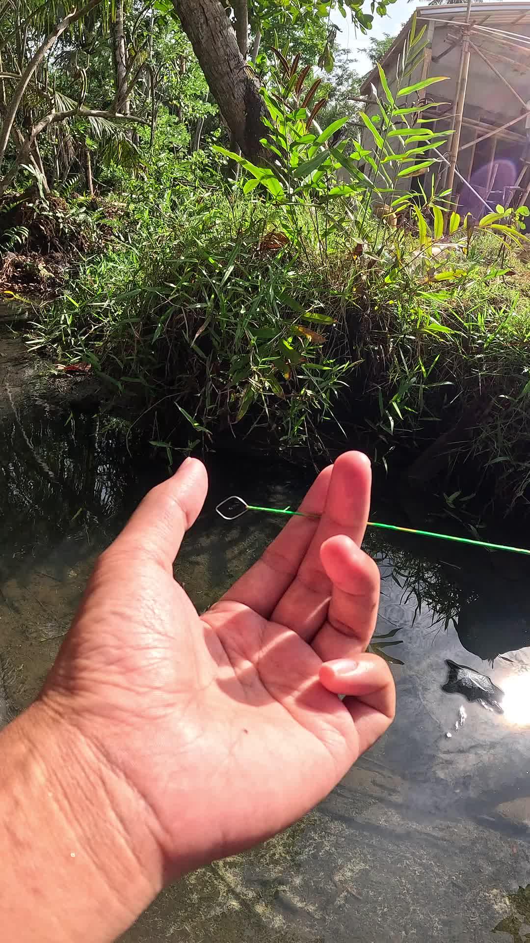 very traditional way #fishing #shrimp #traditional #usa #usareels #UnitedStates #unitedkingdom #denmark #canada