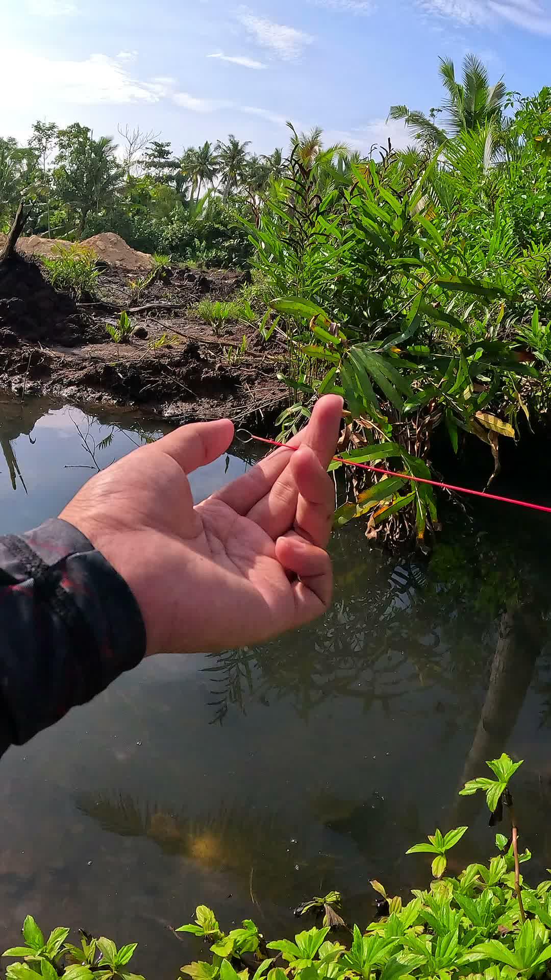 fast way to catch shrimp #fishing #traditional #usa #usareels #UnitedStates #unitedkingdom #denmark #canada