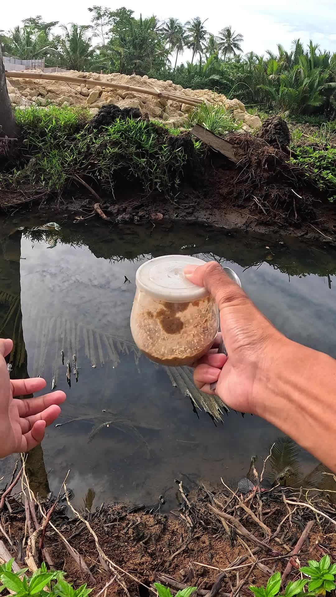 catching shrimp using traditional techniques #fishing #shrimp #fish #sea #traditional #usareels #UnitedStates #reelsviral #skils #fyp #trend
