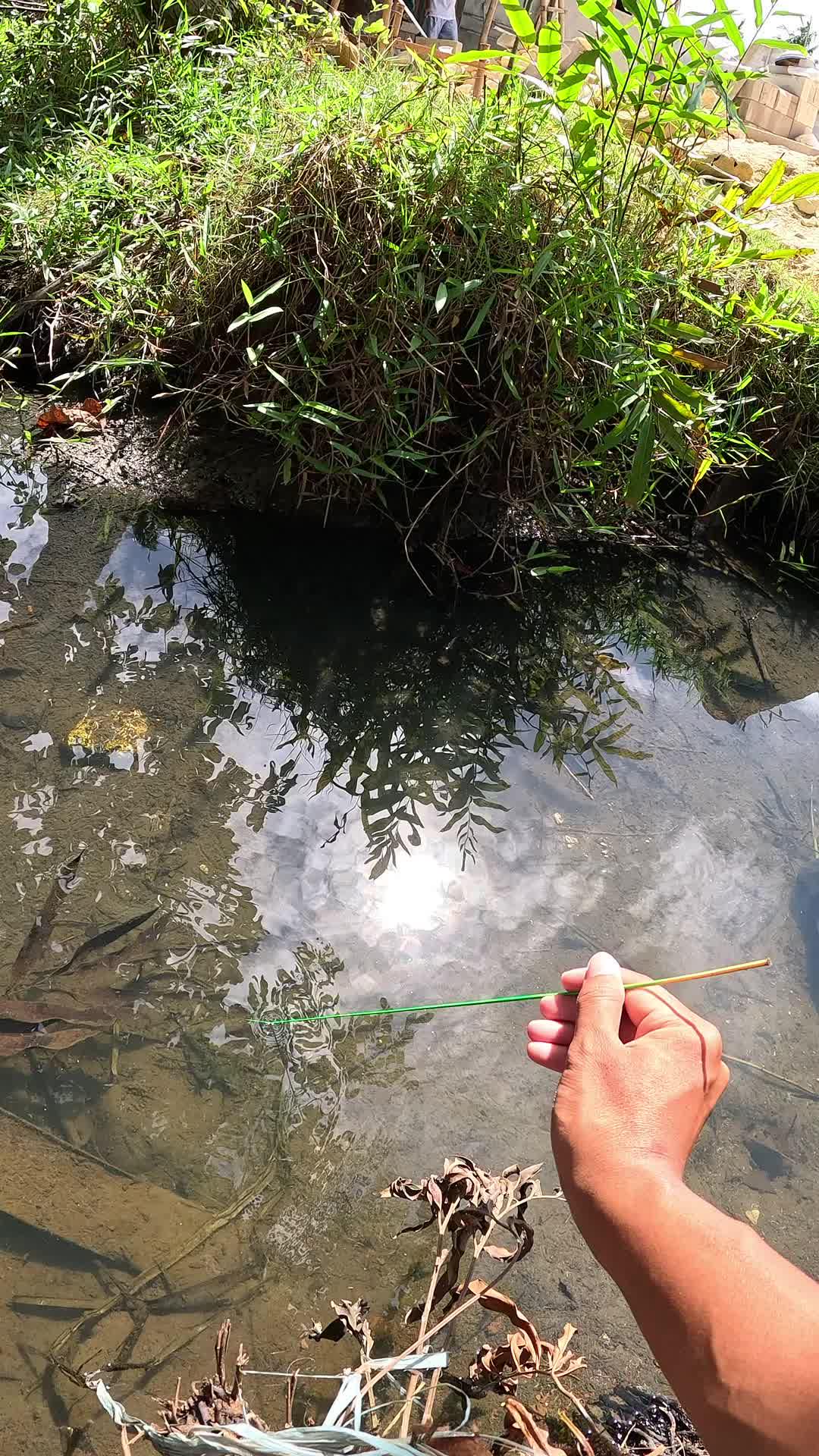 traditional way of fishing for shrimp #fishing #traditional #usa #usareels #UnitedStates #unitedkingdom #denmark #canada