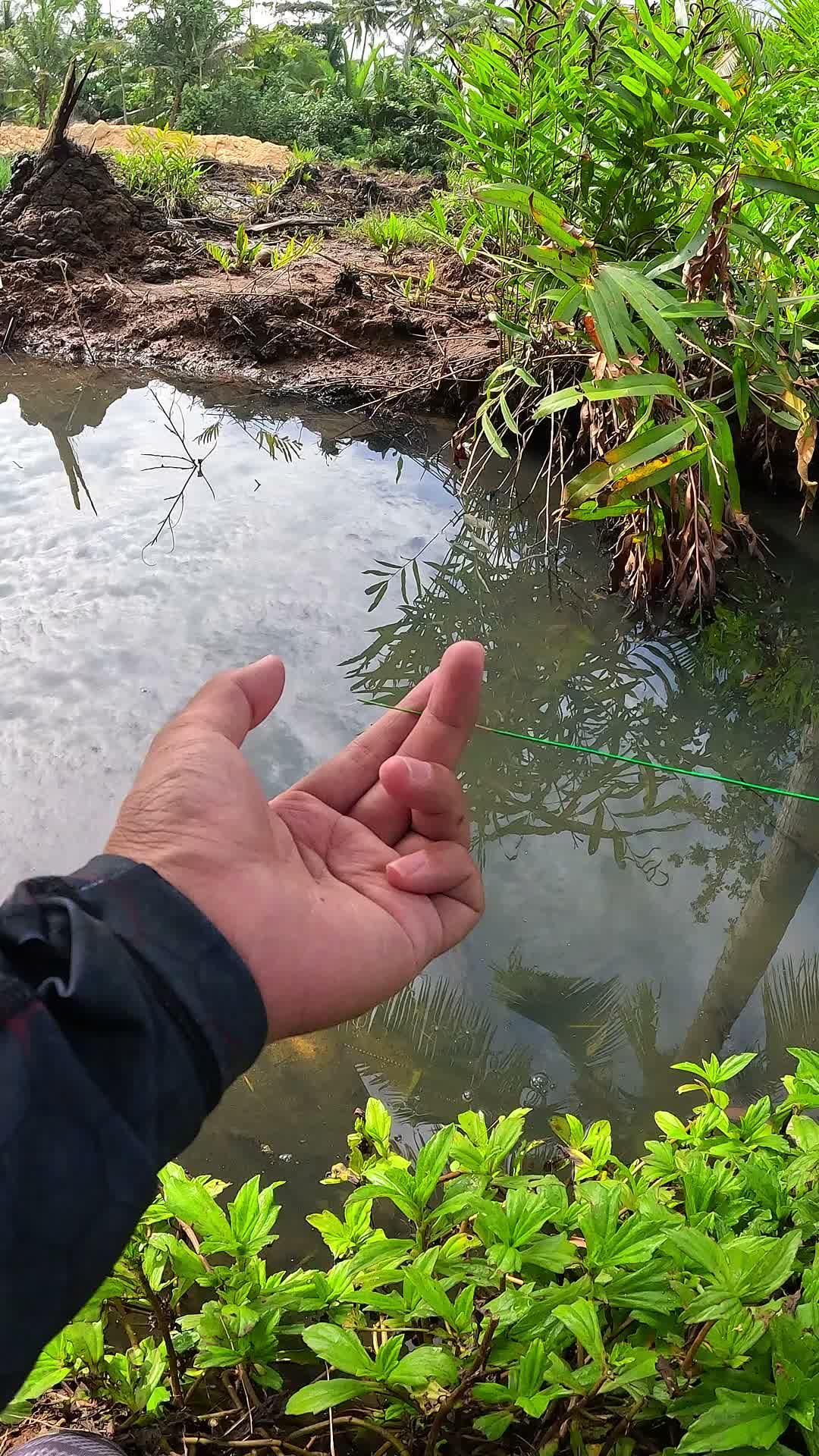 nyantel udang 🦐 #udang #nelayan #laut #jaring #ikan #fbpro #reels #reelsviral #duniaikan #skills #fyp #trending