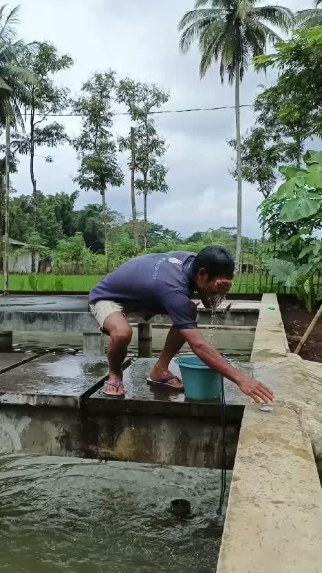 jahil bnaget #videolucu  #lucu  #komedi 