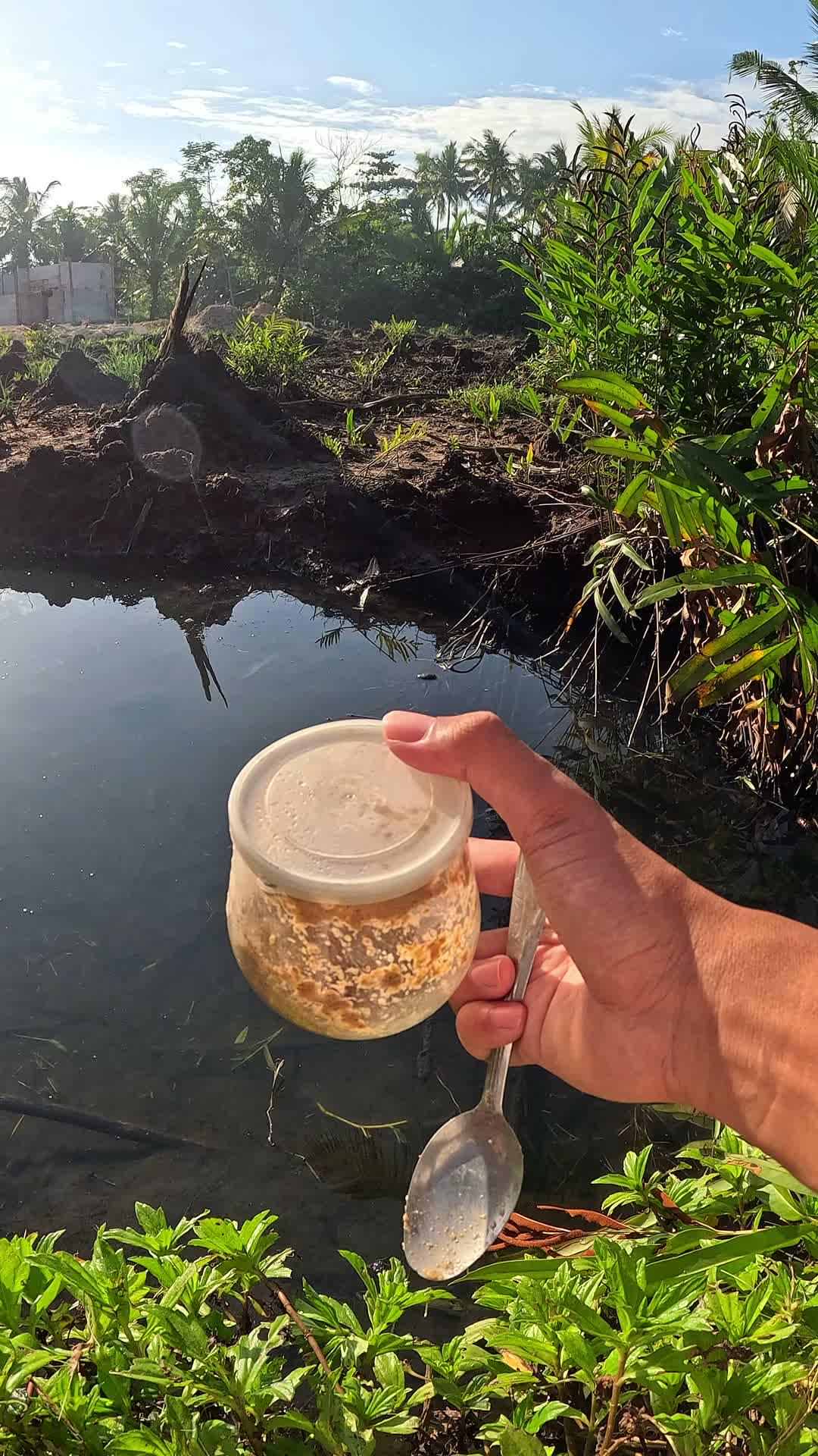 tutorial jitu mancing udang #mancing #fishing #shrimp #udang #nelayan #laut #jaring #ikan #reelsviral #animals #skill #fyp #trending