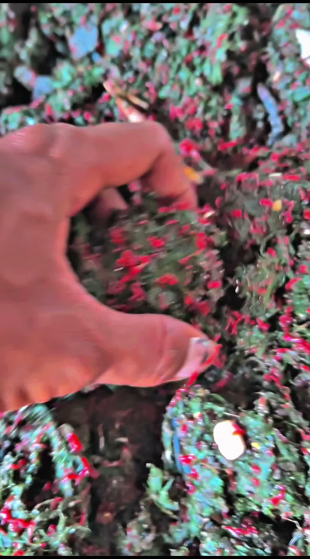 Mancing pakai umpan tergacor