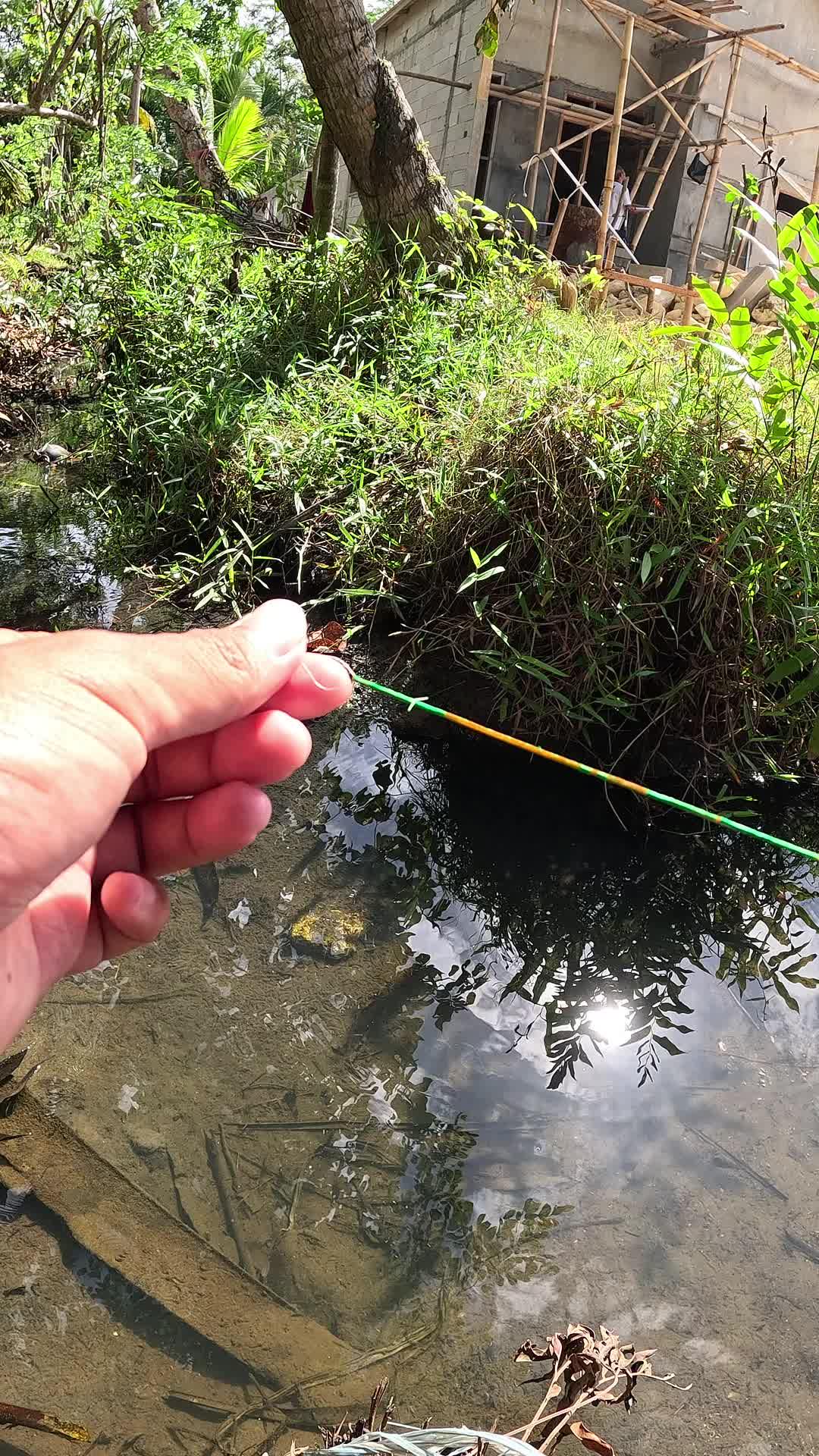 mancing udang sungai #mancing #fishing #shrimp #udang #nelayan #laut #jaring #ikan #reelsviral #animals #skill #fyp #trending