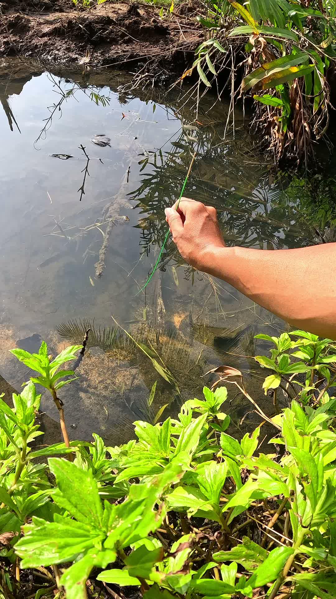 lepas mulu #mancing #fishing #shrimp #udang #nelayan #laut #jaring #ikan #reelsviral #animals #skill #fyp #trending