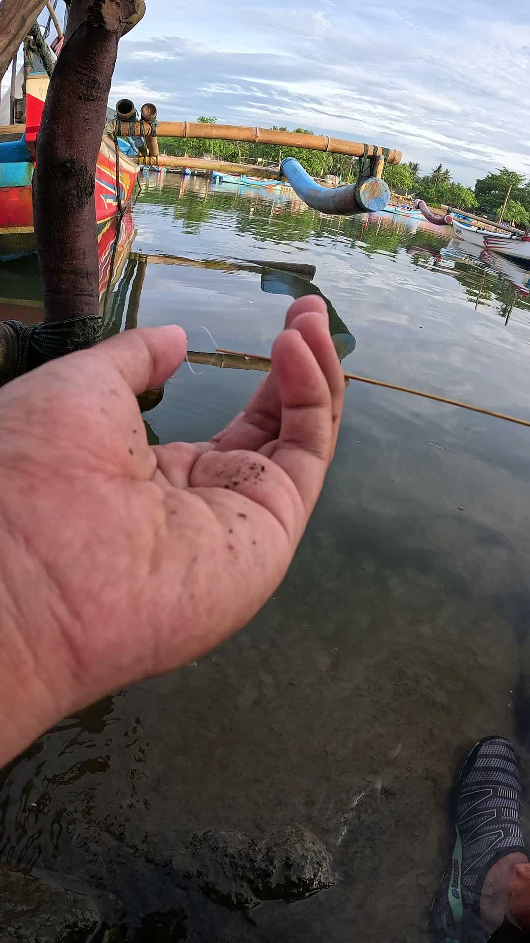 mancing udang di pelabuhan cikidang 