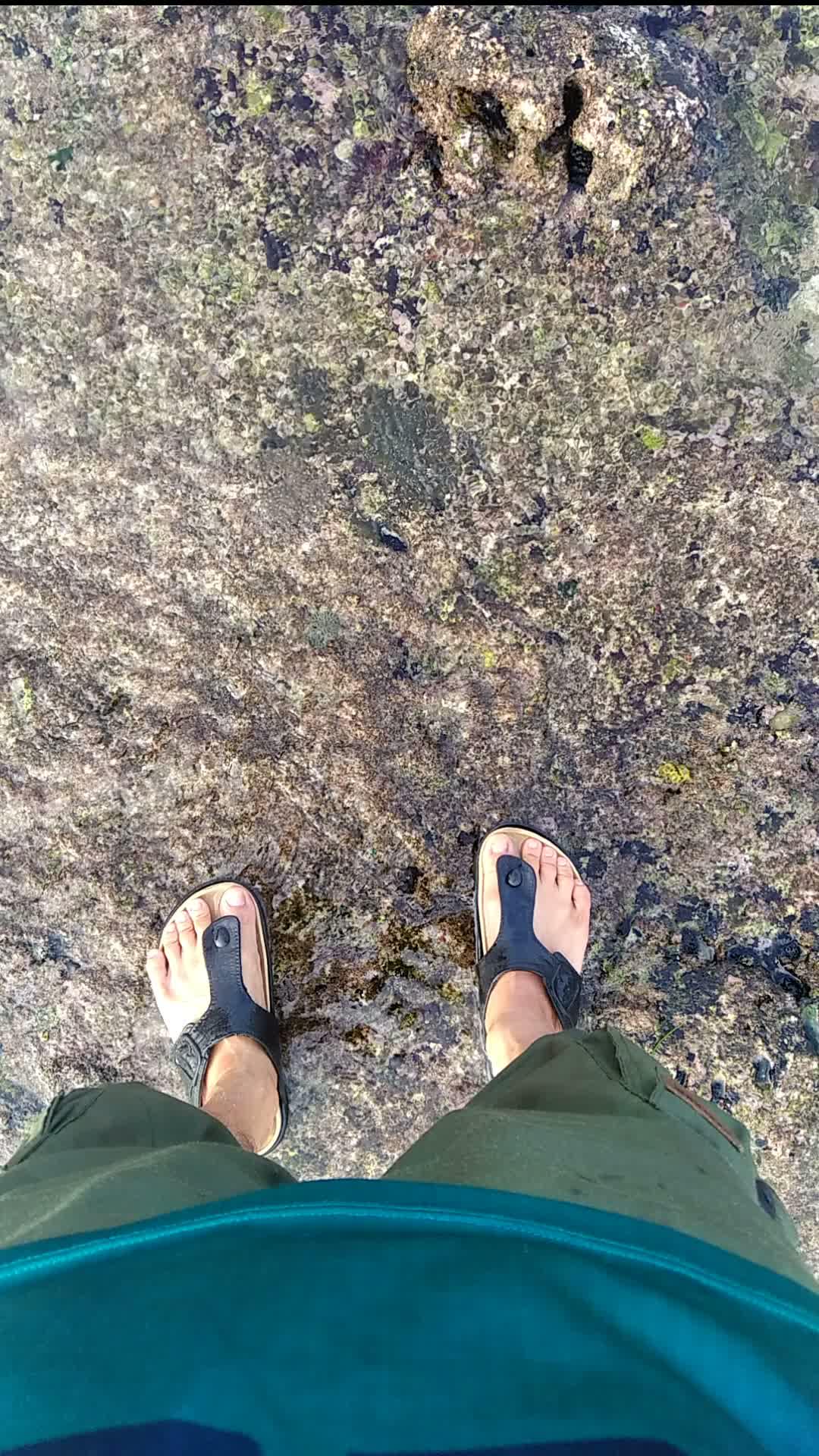 pantai malang selatan  #pantai  #ombak  #malang  #malangselatan 