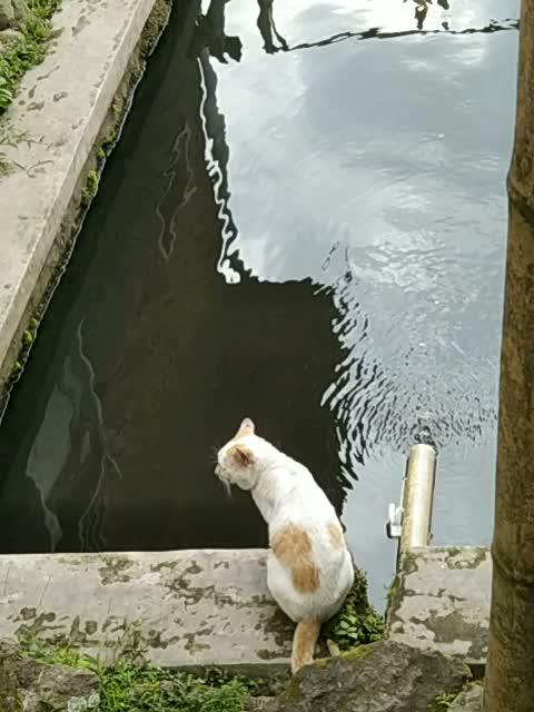 kaget dia  #short  #HOTrctiplus  #fyp 