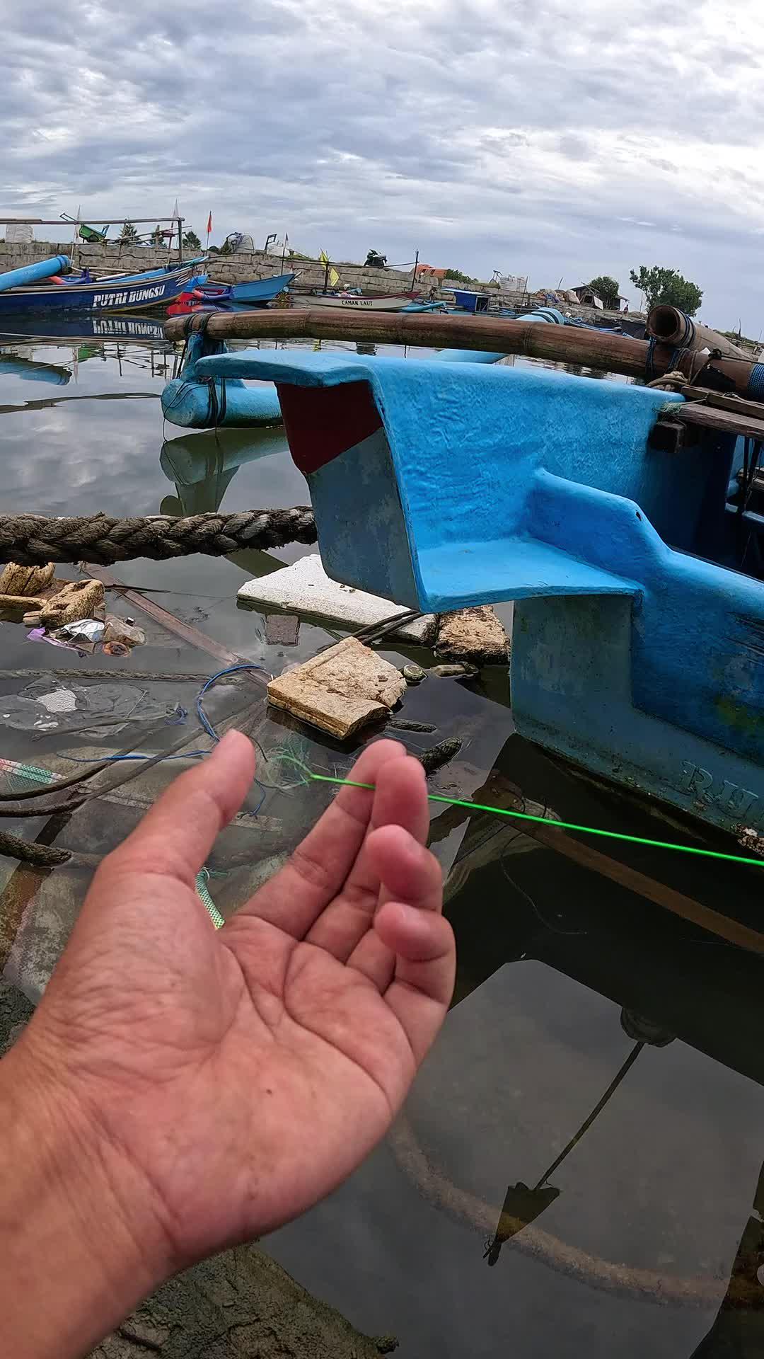 shrimp catching skills #fishing #shrimp #fish #sea #traditional #usareels #UnitedStates #reelsviral #skils #fyp #trending