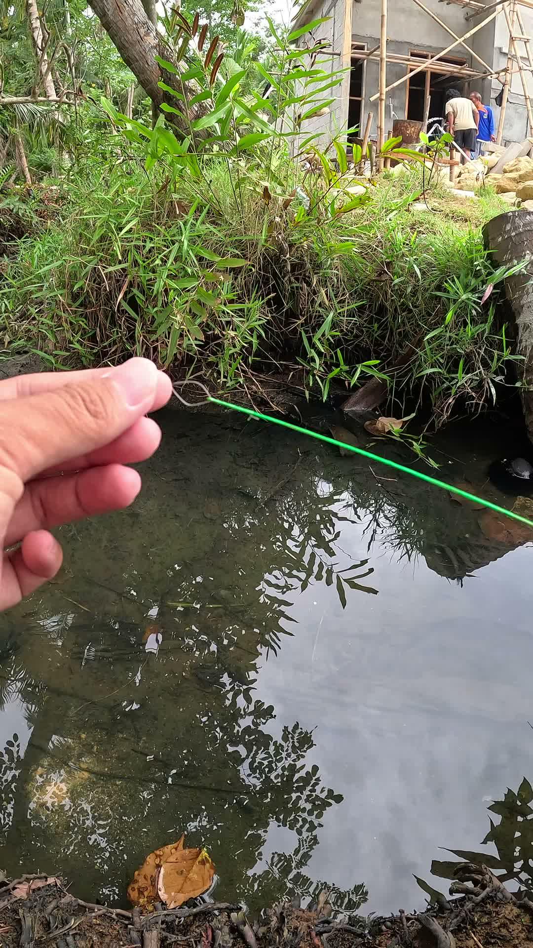 This river is a shrimp nest #fishing #shrimp #fish #sea #traditional #usareels #UnitedStates #reelsviral #skils #fyp #trending