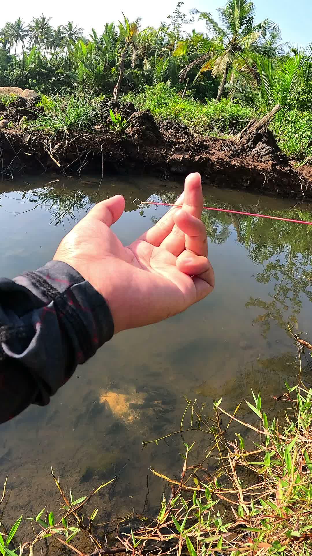 pinter kabur udang nya #udang #nelayan #laut #jaring #ikan #fbpro #reels #reelsviral #duniaikan #skills #fyp #trending