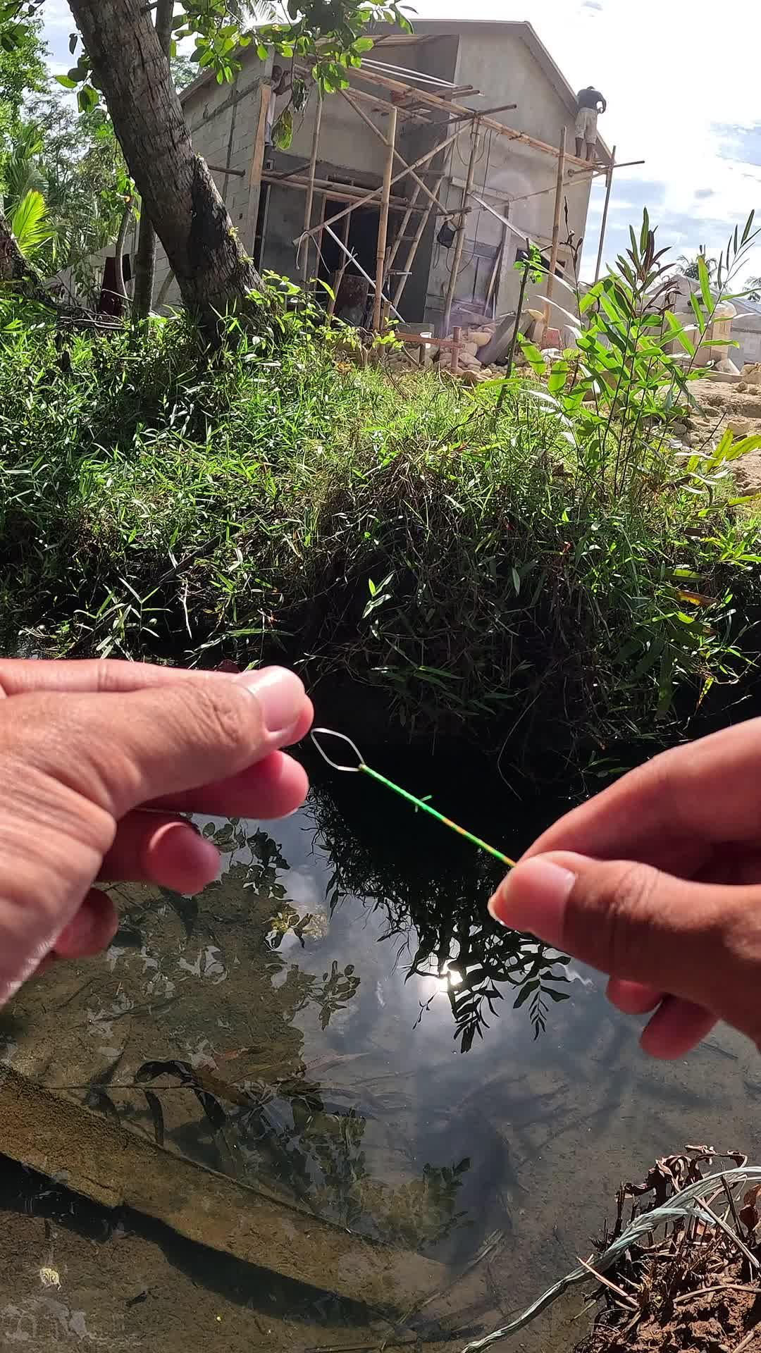 tutorial on catching river prawns #fishing #shrimp #fish #sea #traditional #usareels #UnitedStates #reelsviral #skils #fyp #trending