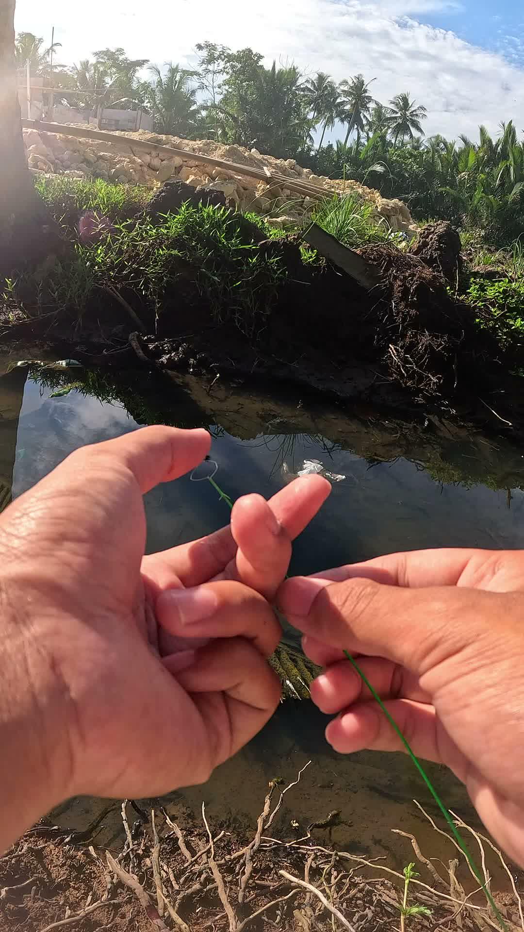 cara yang baik dan benar #fishing #shrimp #fish #sea #traditional #usareels #UnitedStates #reelsviral #skils #fyp #trending