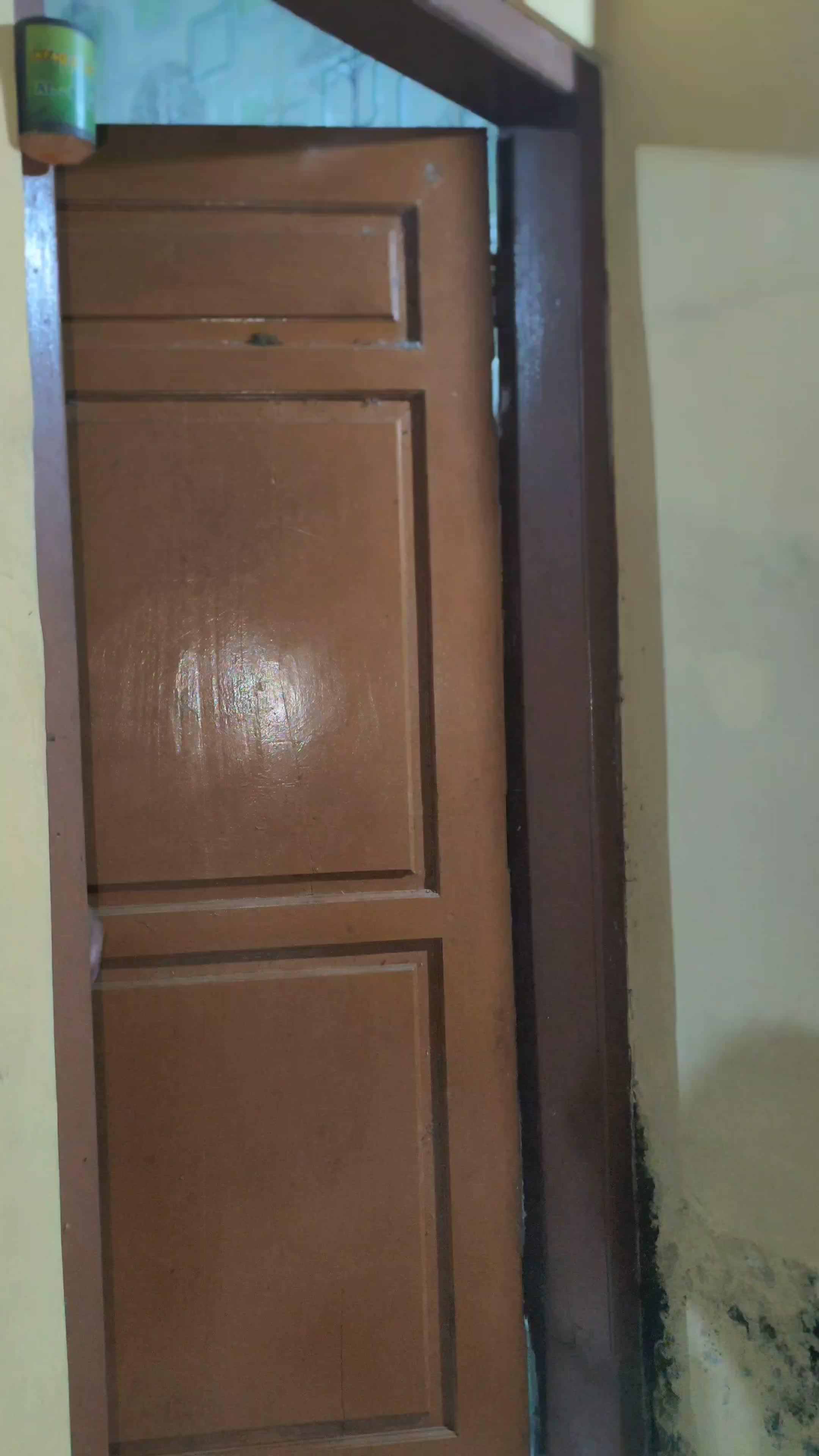 Hayam goreng #RCTIPlus 