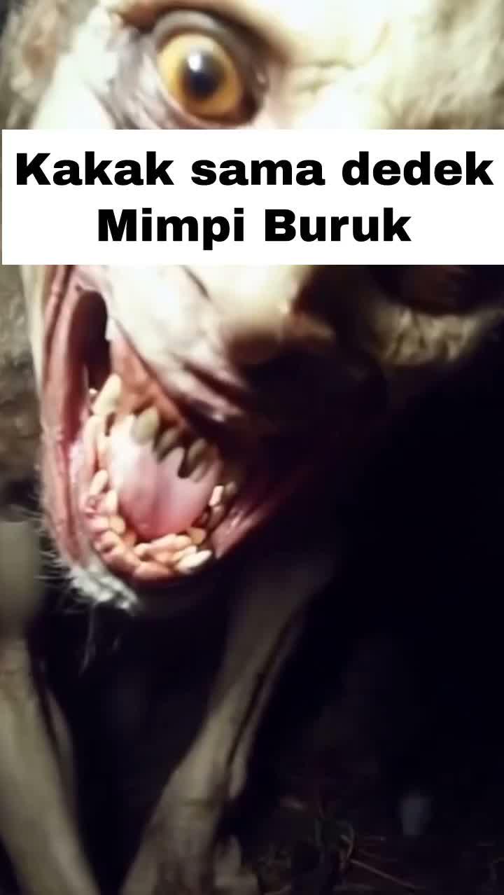 Kakak sama dedek lagi Mimpi Buruk.
#RCTIPlus #HOTrctiplus #Dunianakanak #Edukasianak #Videoanakanak #Mimpiburuk #fyp #fypシ #fypシ゚viral  