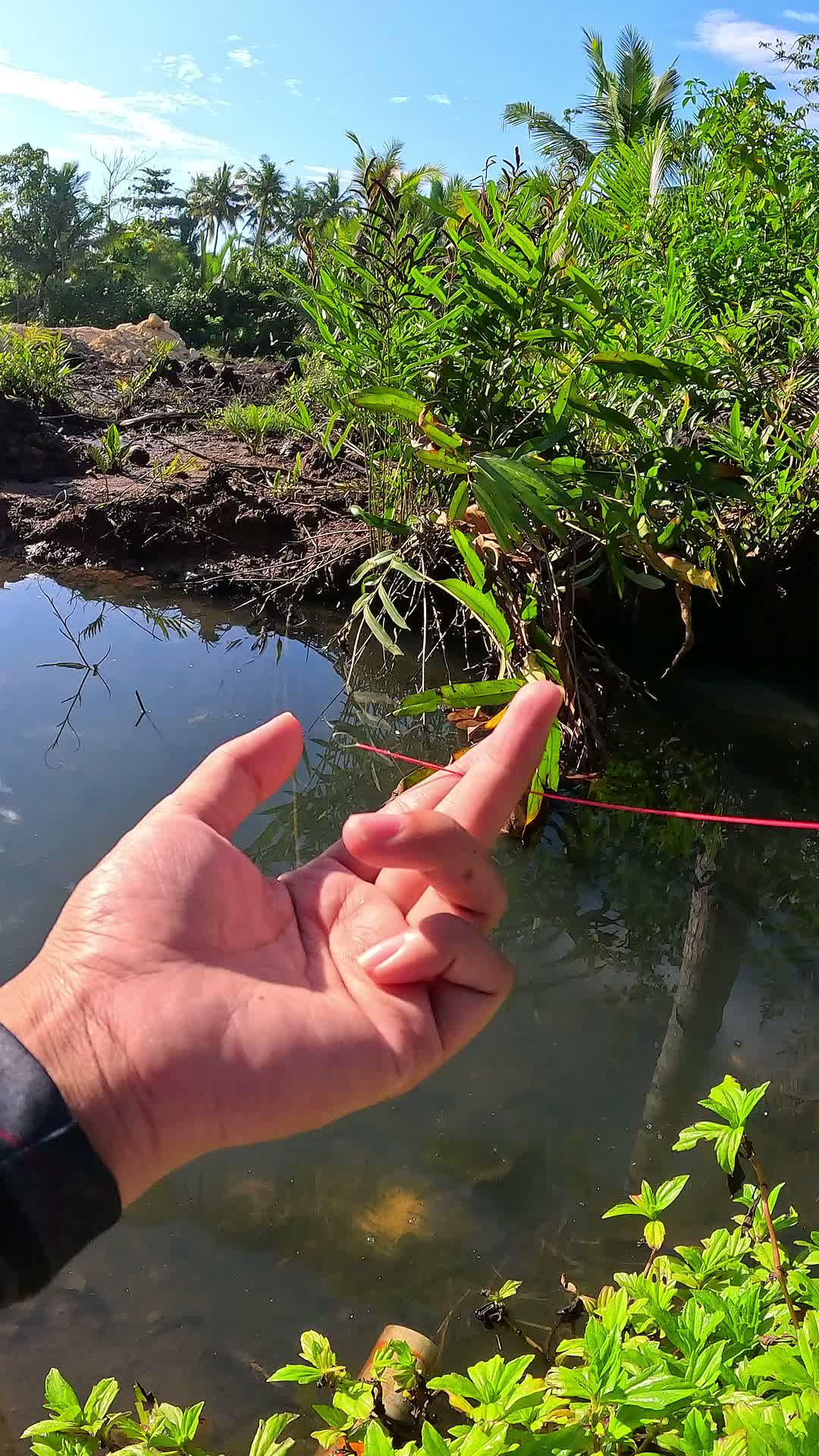 sangat gampang nangkap udang #udang #nelayan #laut #jaring #ikan #fbpro #reels #reelsviral #duniaikan #skills #fyp #trending