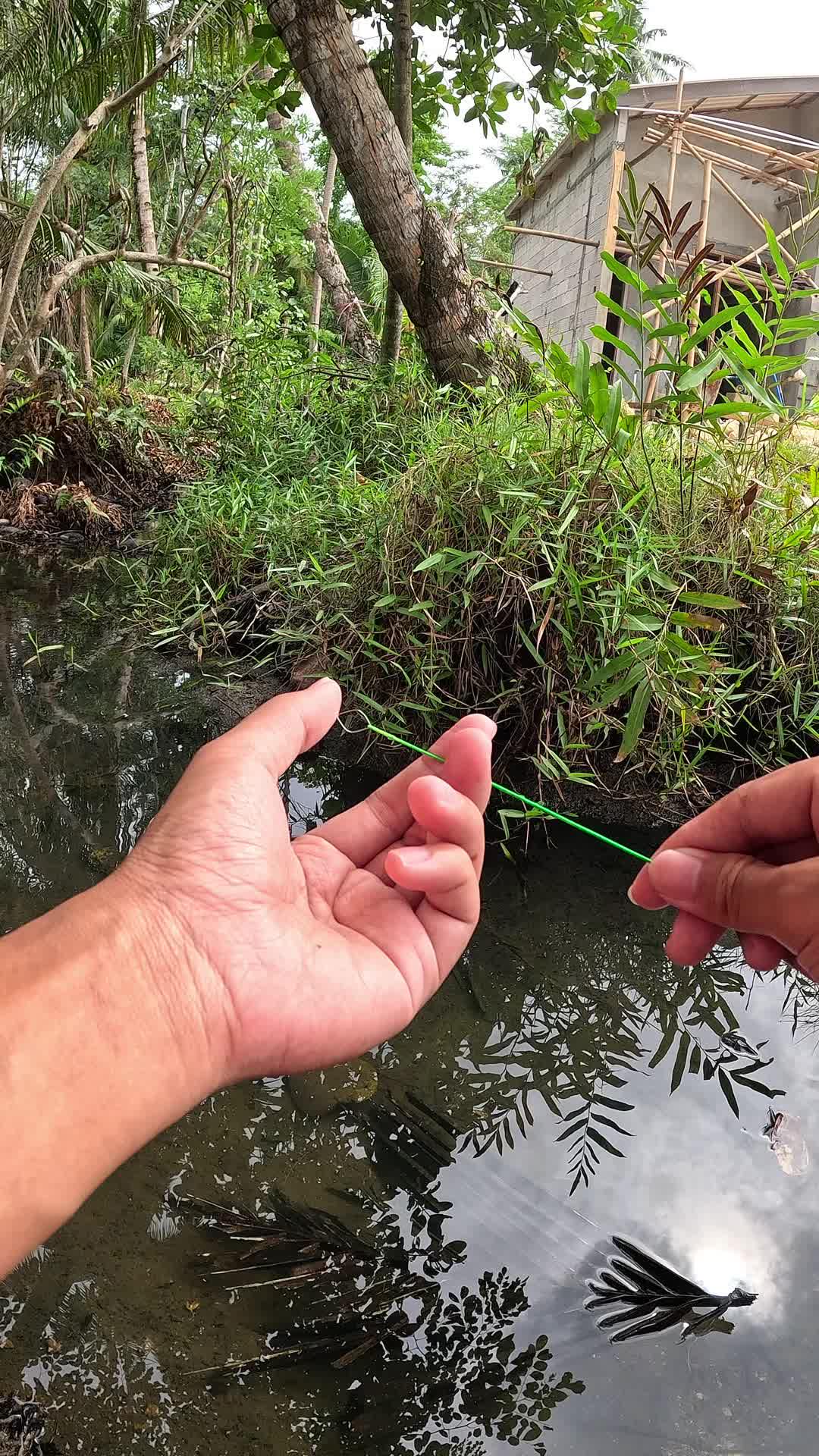 alat sederhana tapi sangat jitu #fishing #shrimp #fish #sea #traditional #usareels #UnitedStates #reelsviral #skils #fyp #trending