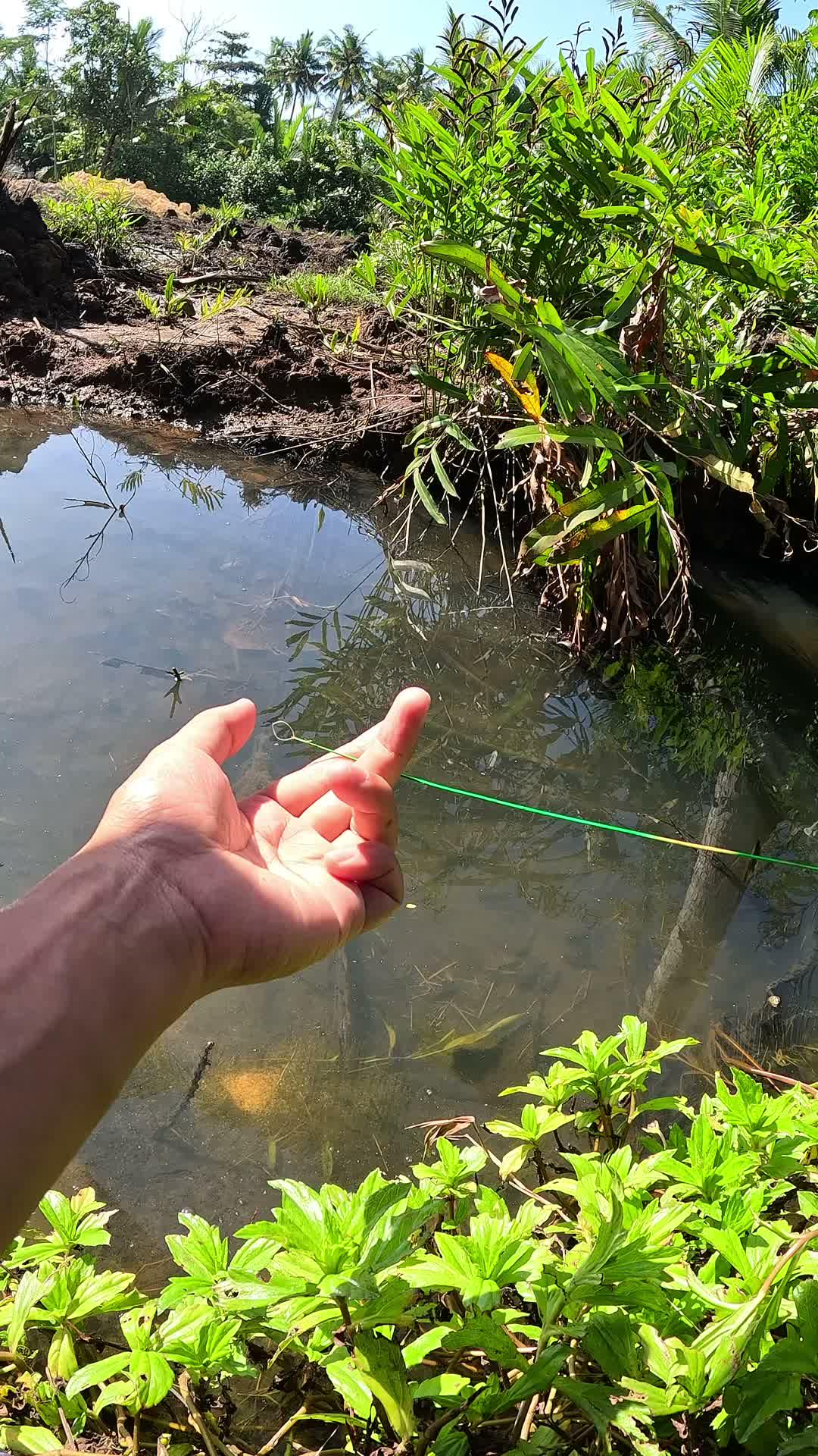 memancing udang #mancing #fishing #shrimp #udang #nelayan #laut #jaring #ikan #reelsviral #animals #skill #fyp #trending