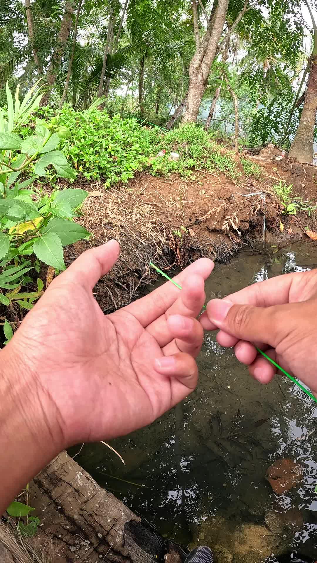 benang dari serat pohon pisang #fishing #traditional #usa #usareels #UnitedStates #unitedkingdom #denmark #canada