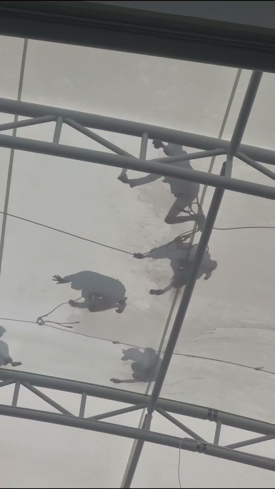 Momen langka #fyp #viral #kerjakeras 