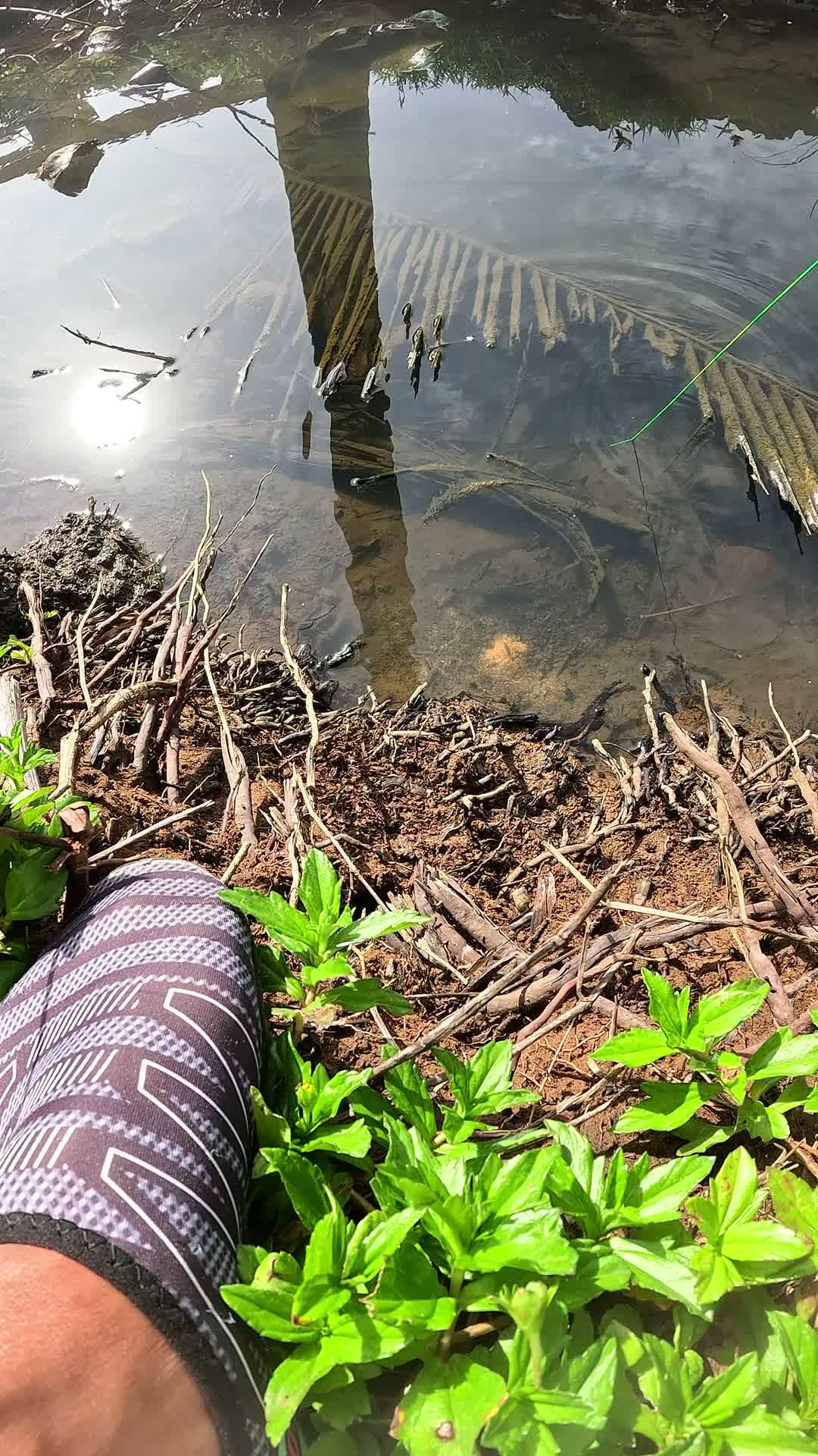 not caught quickly enough #fishing #shrimp #fish #sea #traditional #usareels #UnitedStates #reelsviral #skils #fyp #trending