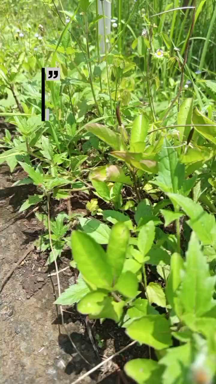 sudahkah kita bersyukur hari ini, atas nafas yang Allah berikan