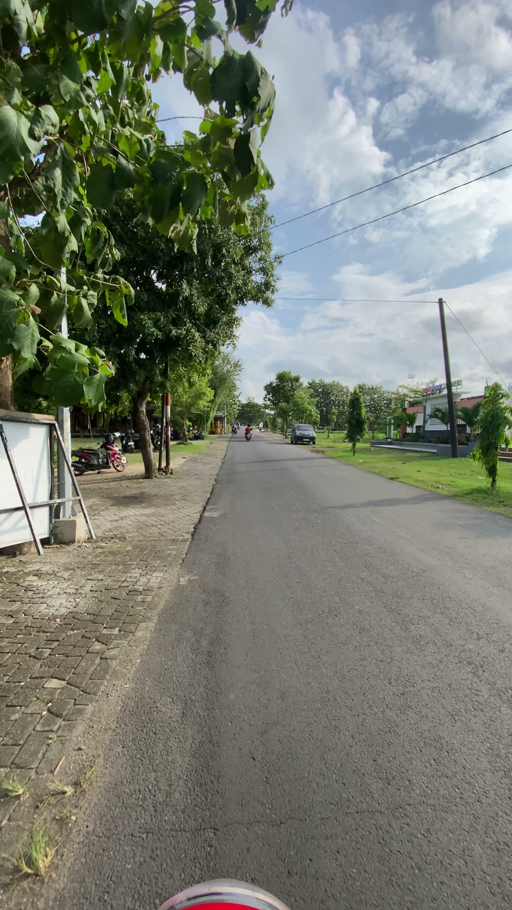 Taman Waduk Sonorejo cakep & asri banget #taman #waduk #sonorejo #padangan #viral 