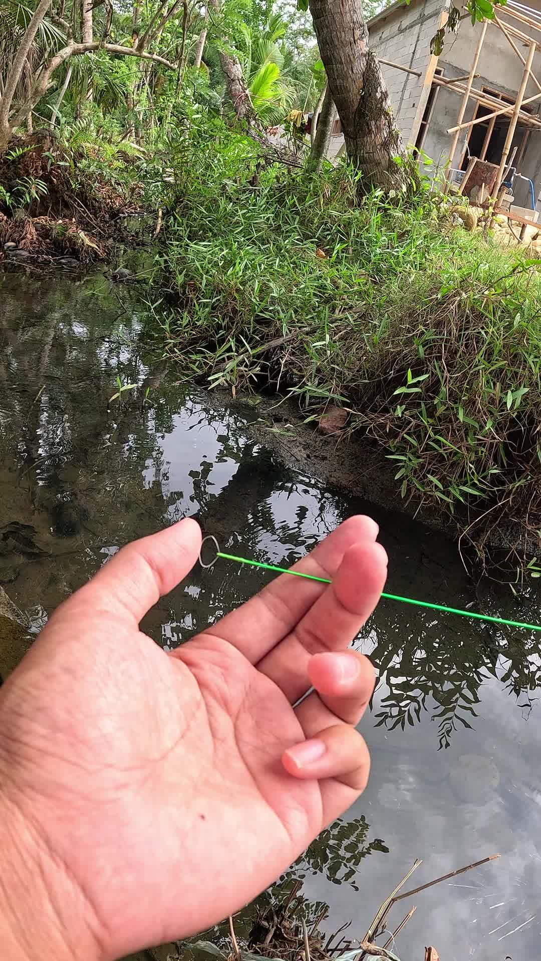 berburu udang dengan cara tradisional #fishing #shrimp #fish #sea #traditional #usareels #UnitedStates #reelsviral #skils #fyp #trending