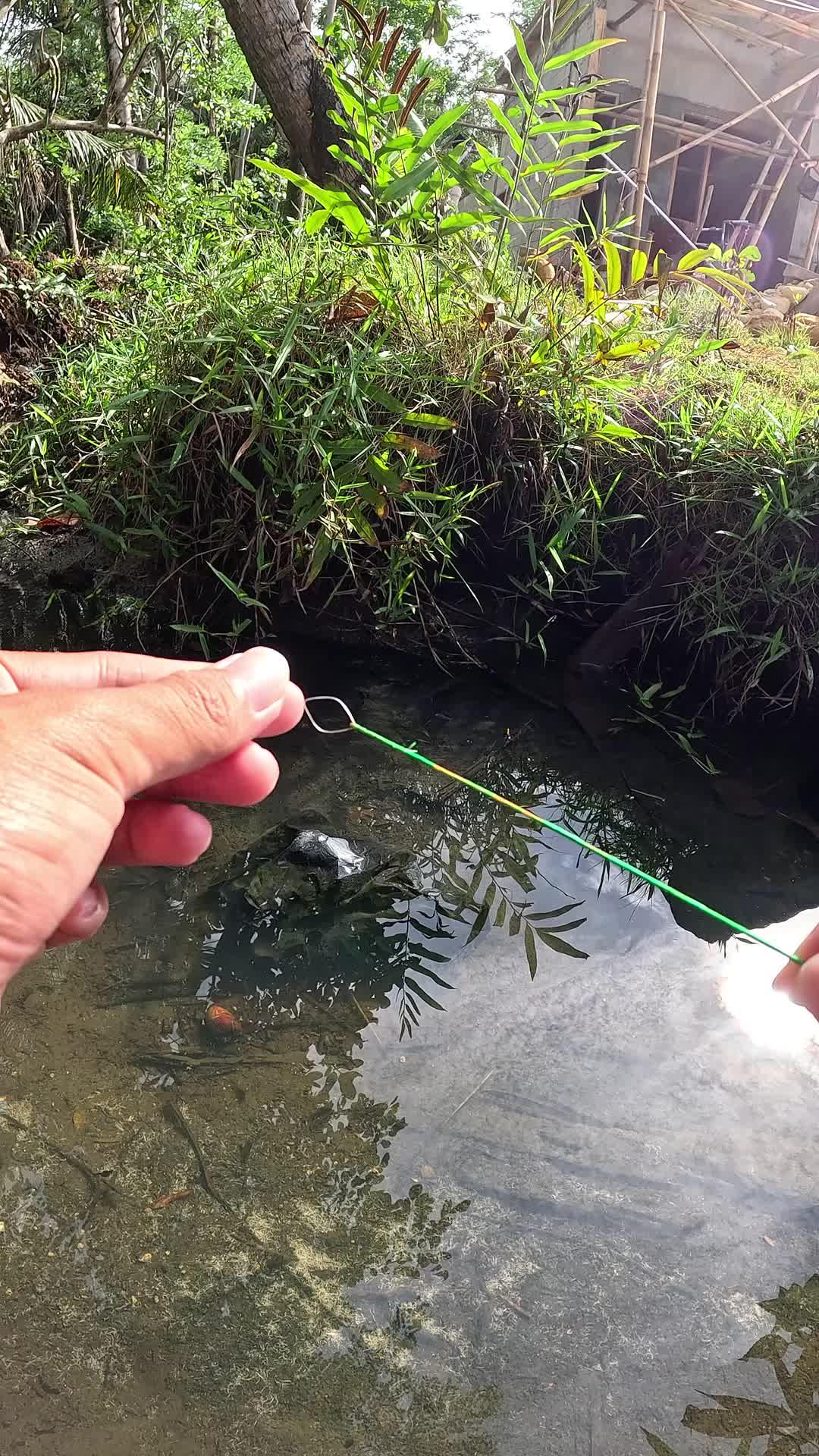 getting better at fishing for shrimp #fishing #shrimp #fish #sea #traditional #usareels #UnitedStates #reelsviral #skils #fyp #trending