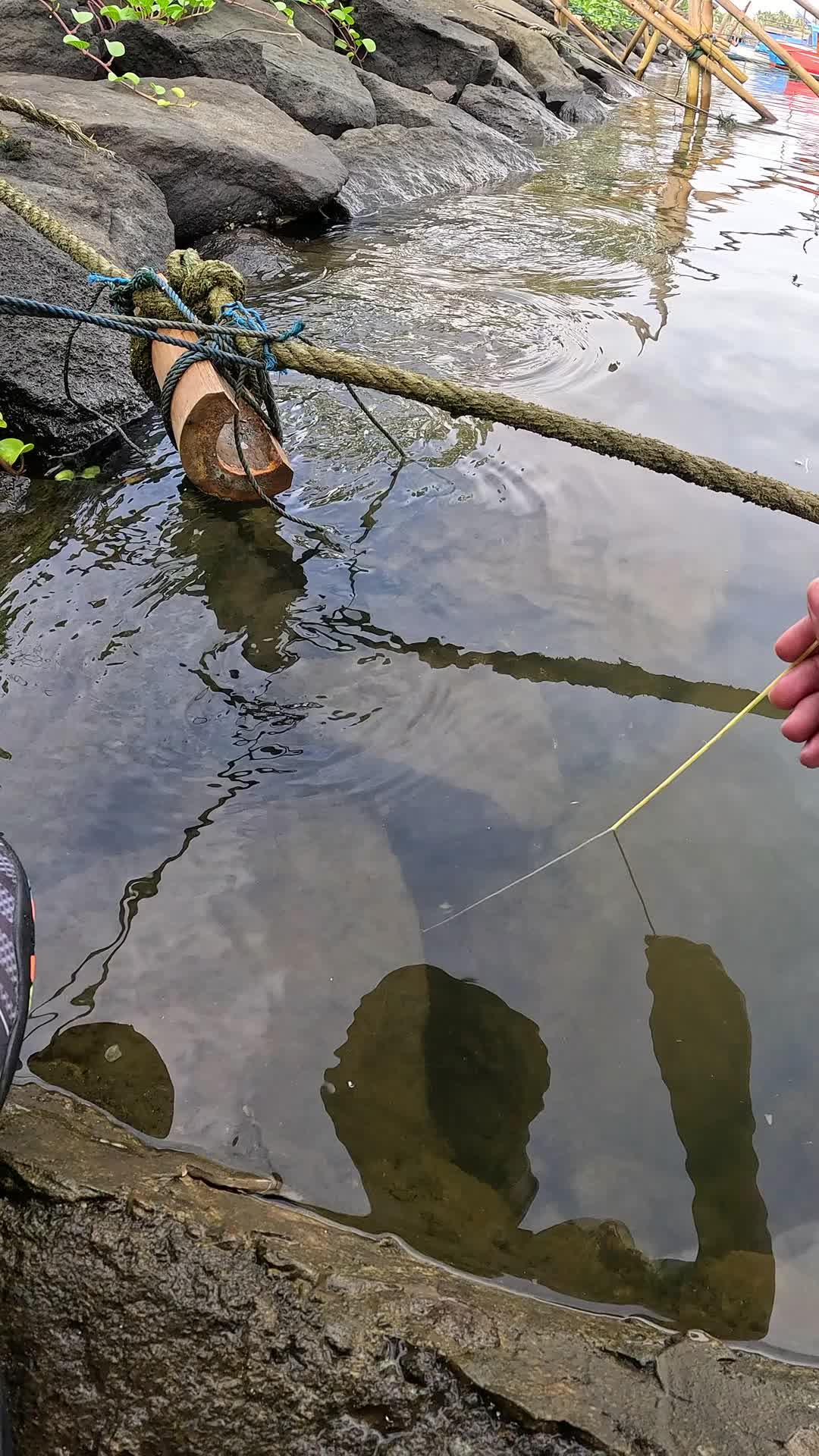 keterampilan menangkap udanh?