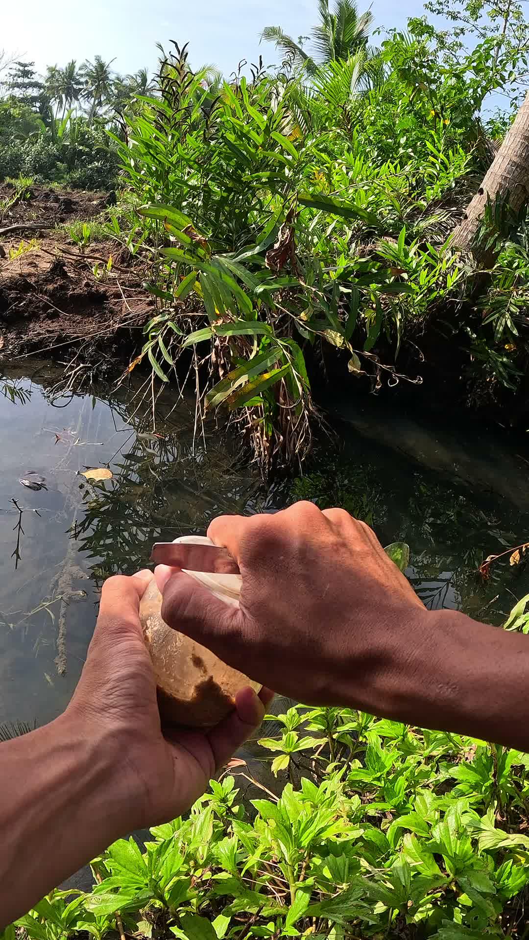 tutorial menangkap udang #udang #nelayan #laut #jaring #ikan #fbpro #reels #reelsviral #duniaikan #skills #fyp #trending