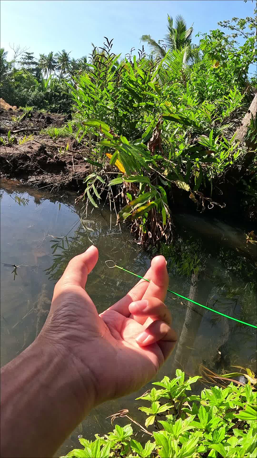 teknik mancing udang tradisional 