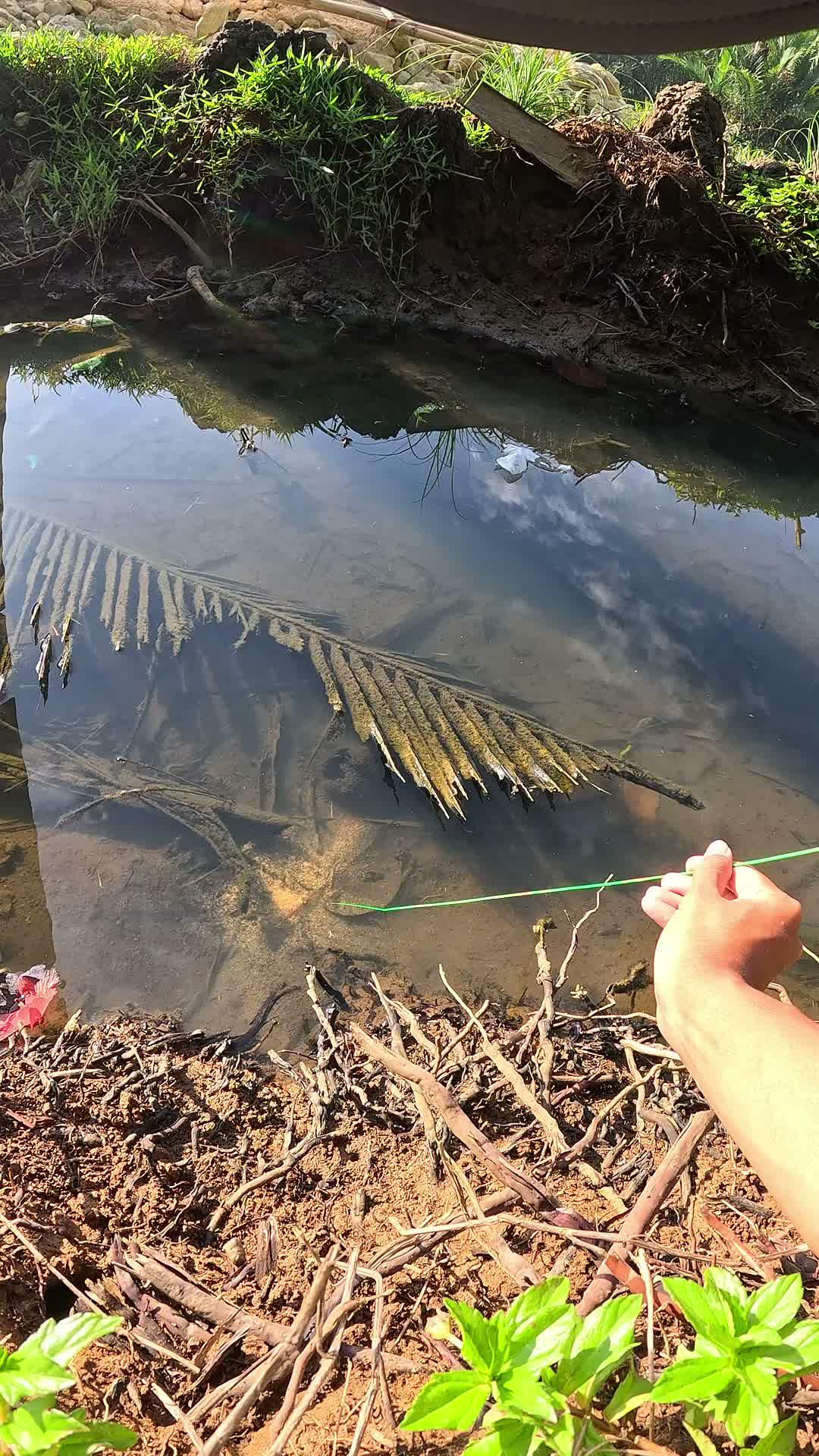 This shrimp almost escaped #fishing #traditional #usa #usareels #UnitedStates #unitedkingdom #denmark #canada