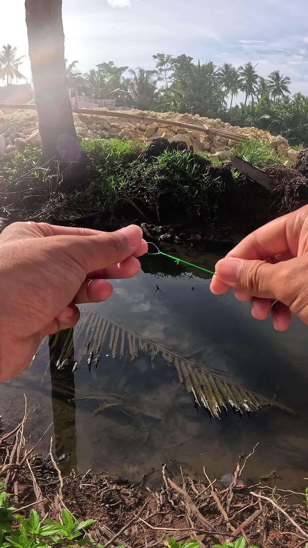 This shrimp is very aggressive #fishing #shrimp #fish #sea #traditional #usareels #UnitedStates #reelsviral #skils #fyp #trending