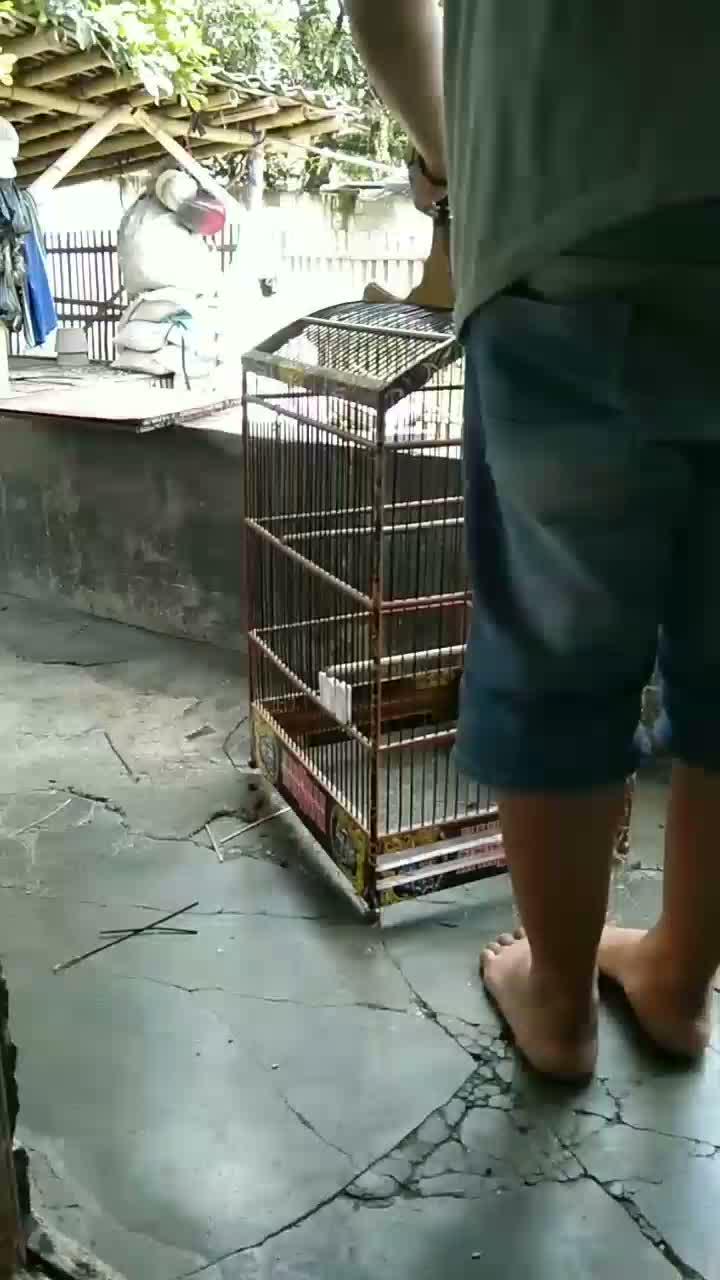  #short  #HOTrctiplus 