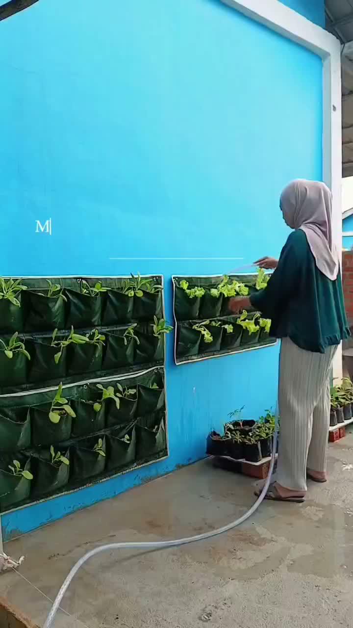 MasyaAllah , anak hijau yang aku semai dari bibit sekarang udah mulai keliatan besar nya 🥬 
Bakal jadi tempat cuci mata ini sih , tinggal tu
