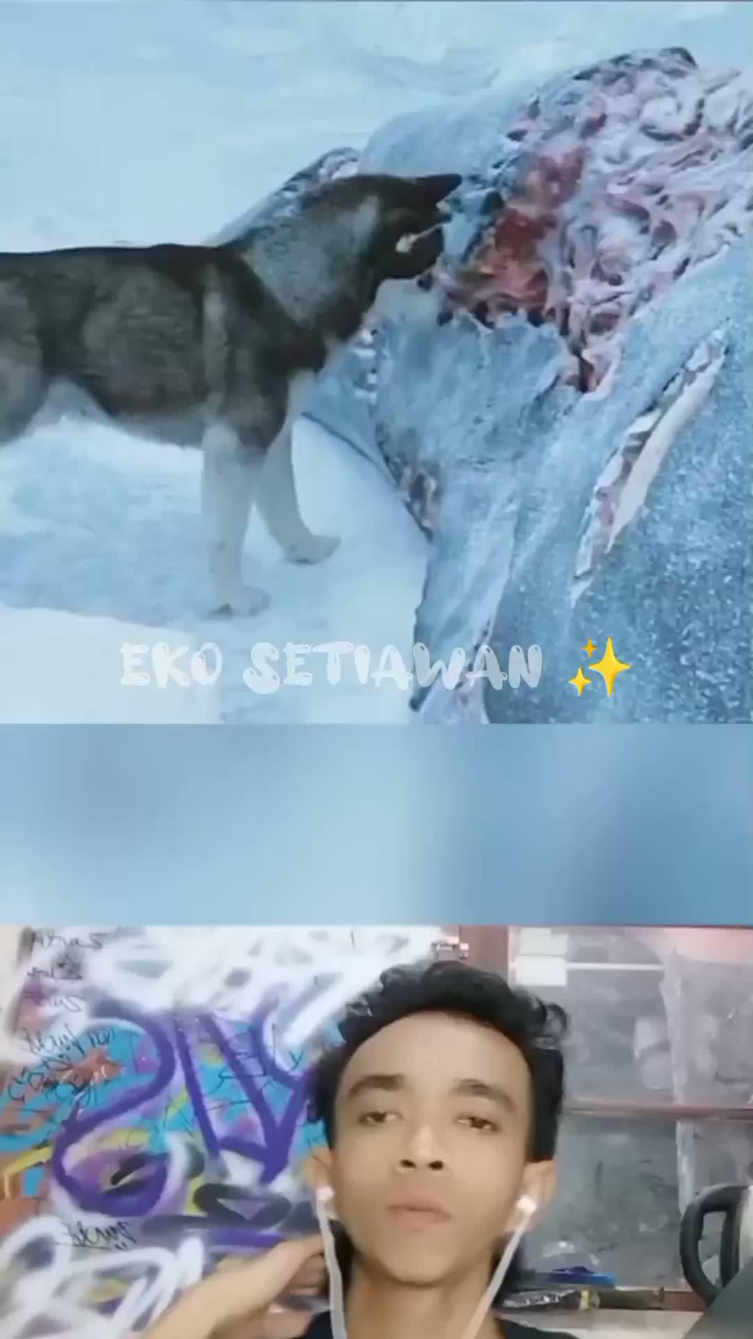 seekor anjing yang bernama togo dan teman temannya sedang rebutan makanan dengan alien