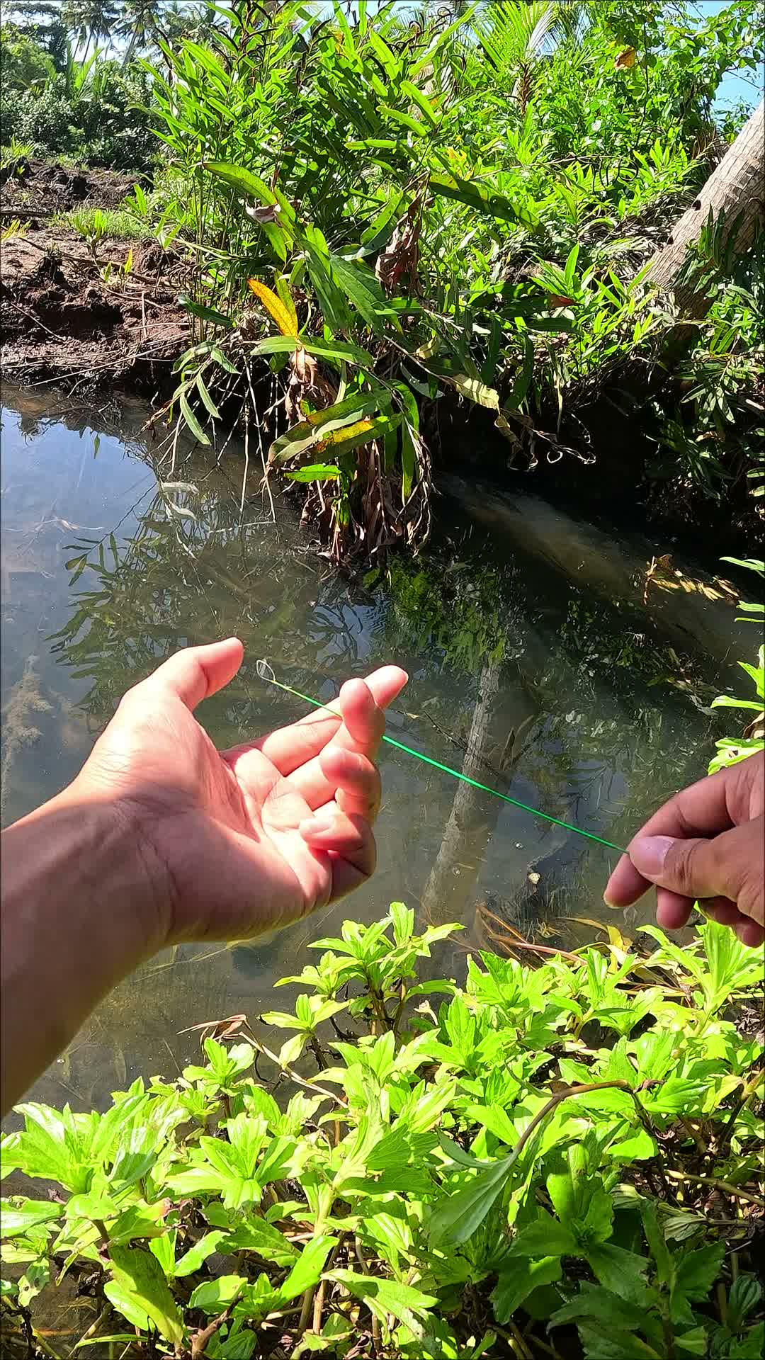 Fishing tips and tricks #fishing #traditional #usa #usareels #UnitedStates #unitedkingdom #denmark #canada