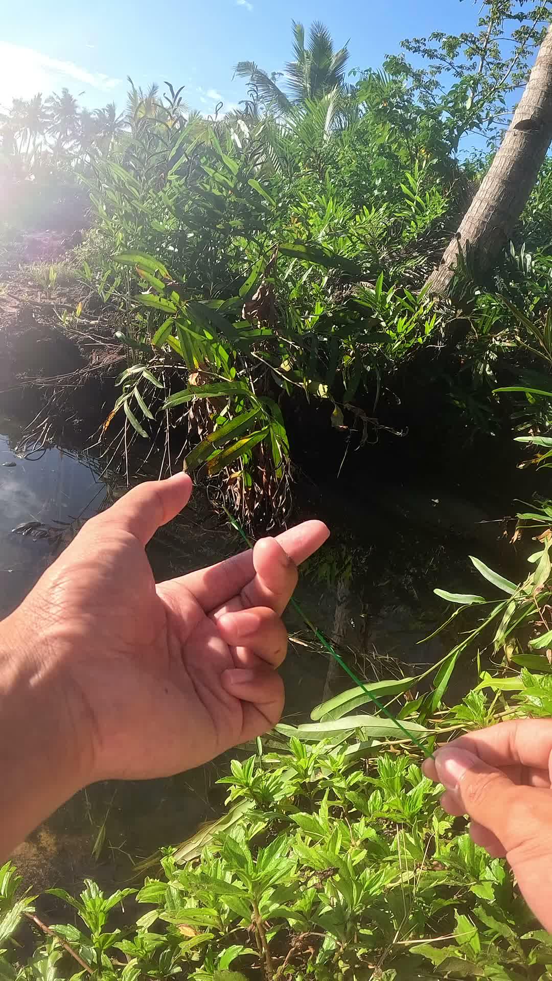 teknik mancing jarang diketahui #fishing #traditional #usa #usareels #UnitedStates #unitedkingdom #denmark #canada