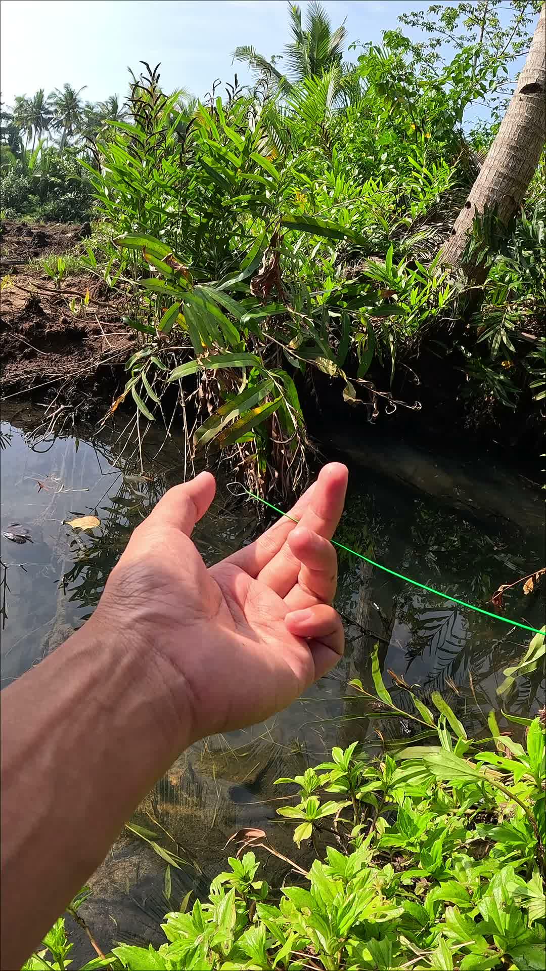 teknik jitu mancing udang
