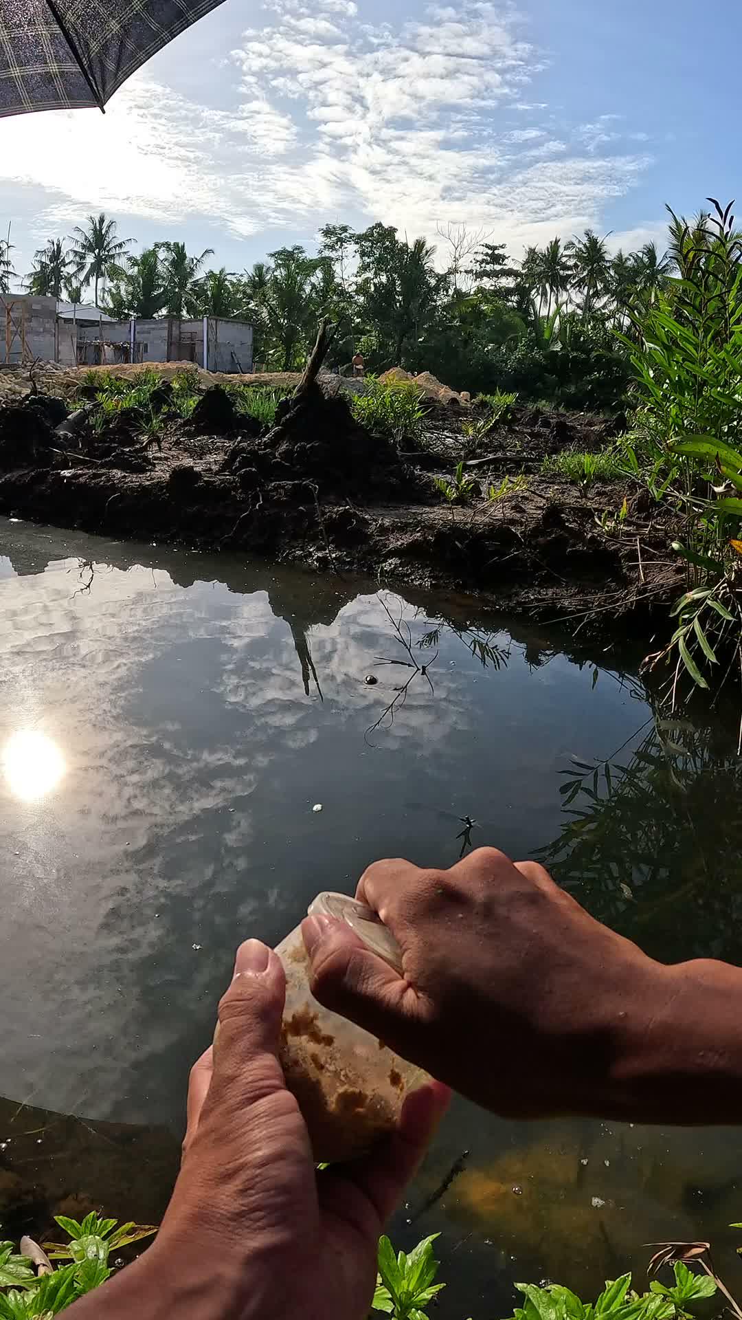 teknik jitu menangkap udang #mancing #fishing #shrimp #udang #nelayan #laut #jaring #ikan #reelsviral #animals #skill #fyp #trending