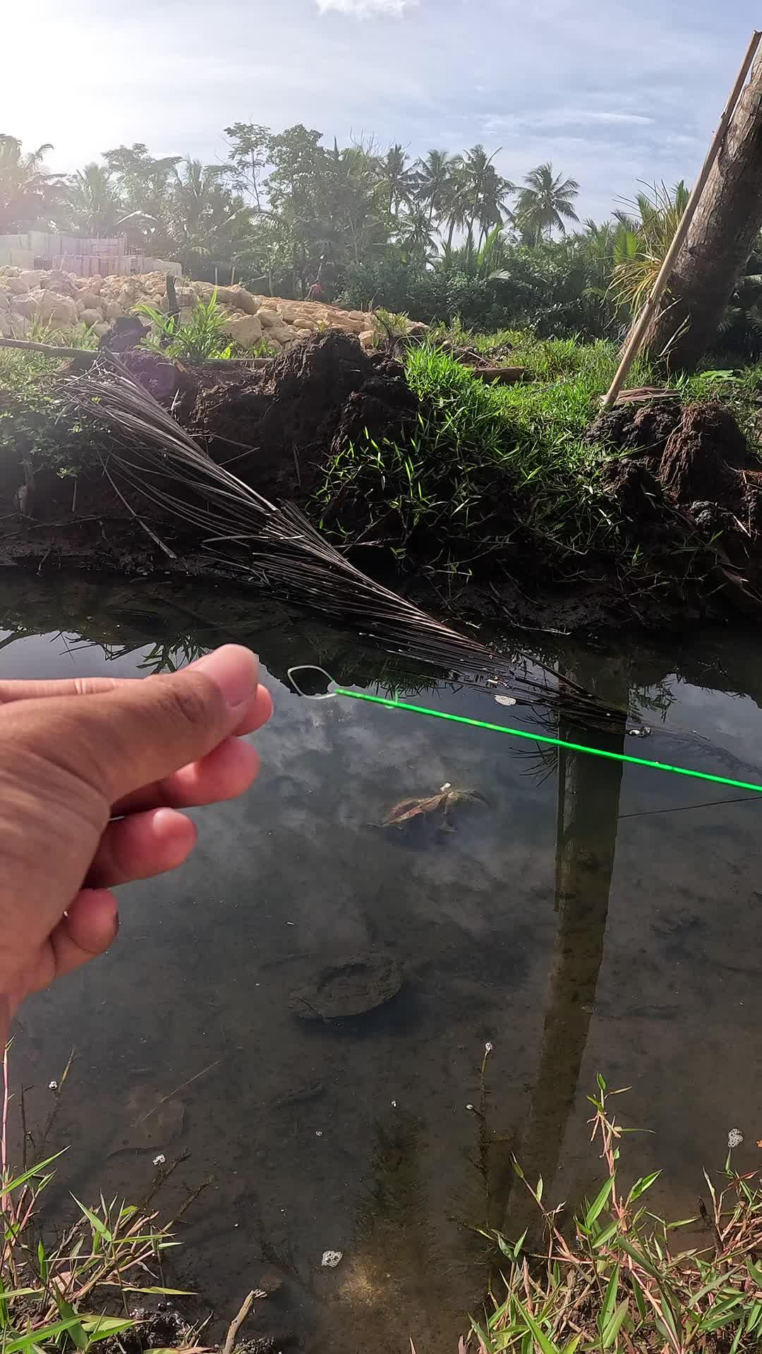 tutorial nangkap udang #mancing #fishing #shrimp #udang #nelayan #laut #jaring #ikan #reelsviral #animals #skill #fyp #trending