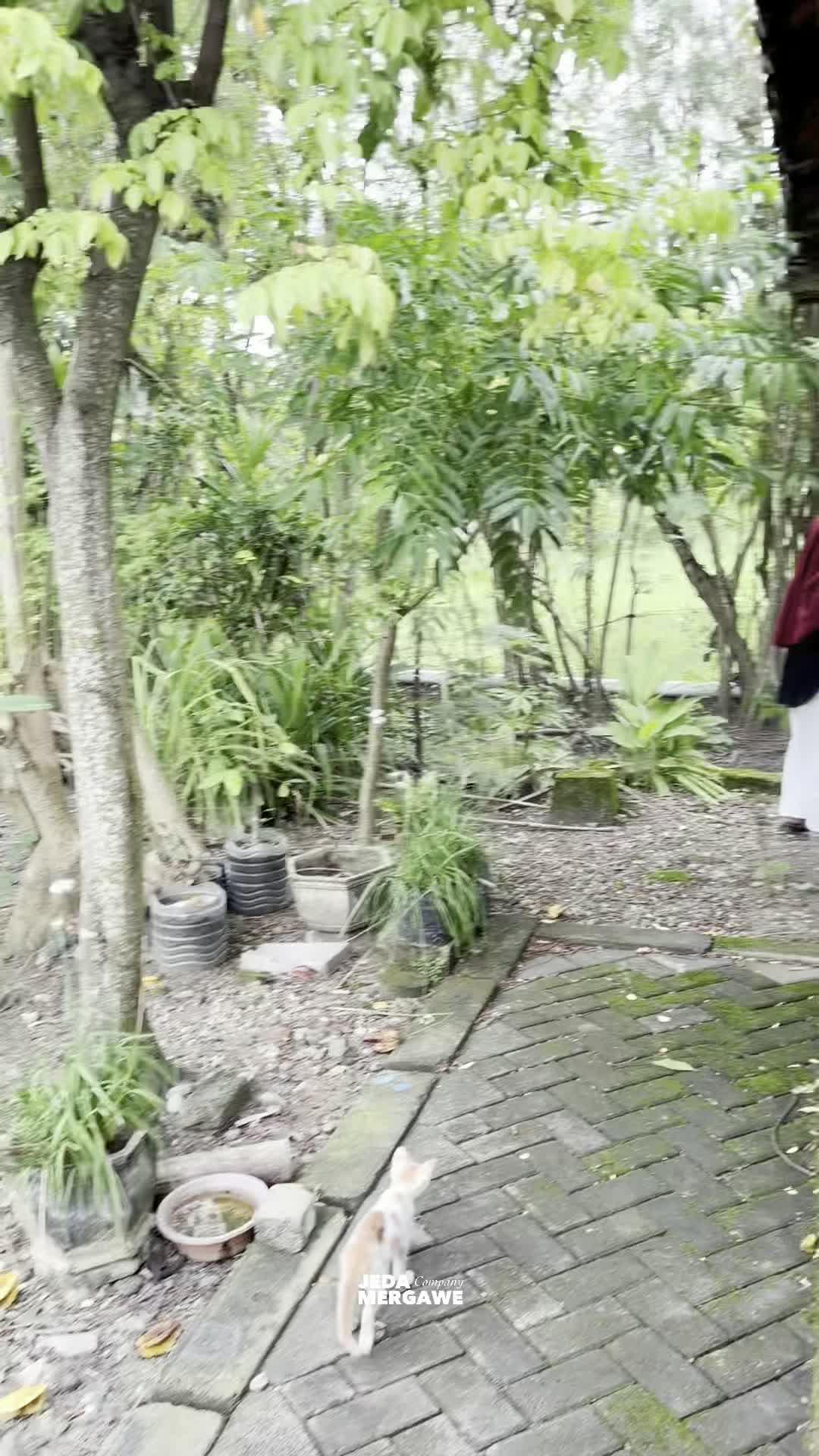 Masker Duckbil murah bagus tebal rekomended banget #masker #duckbill #maskerwajah #maskerviral #maskermurah 